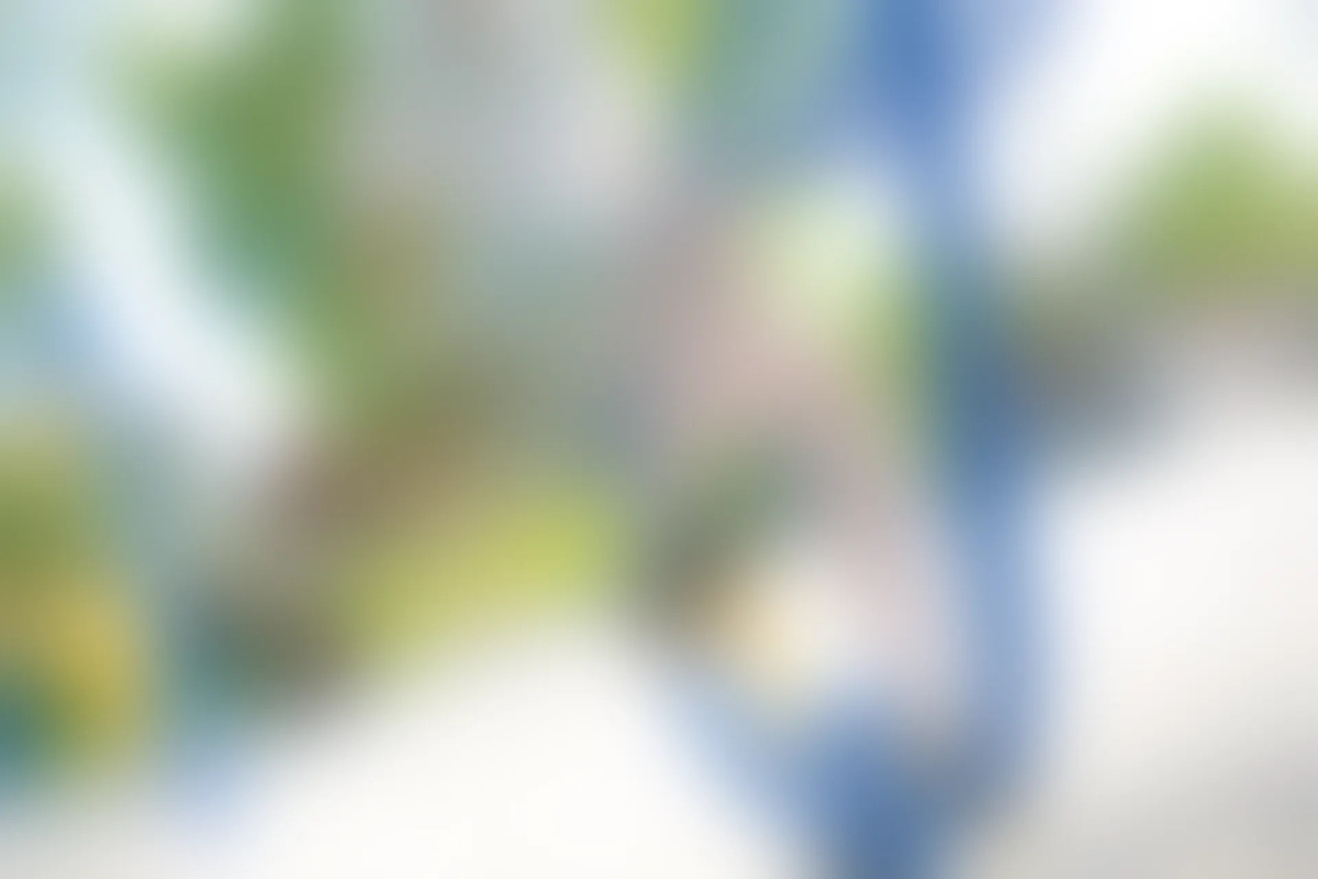 C45.004 公园踏青 [47P-741MB]
