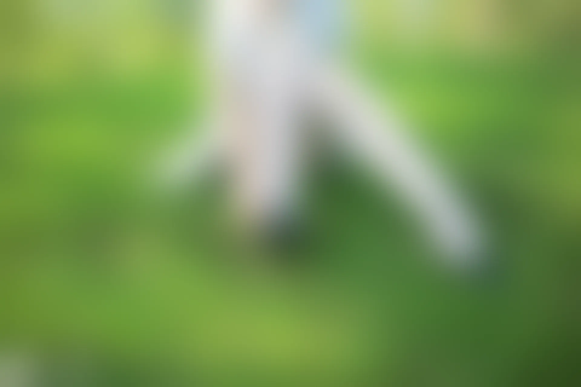 C45.004 公园踏青 [47P-741MB]