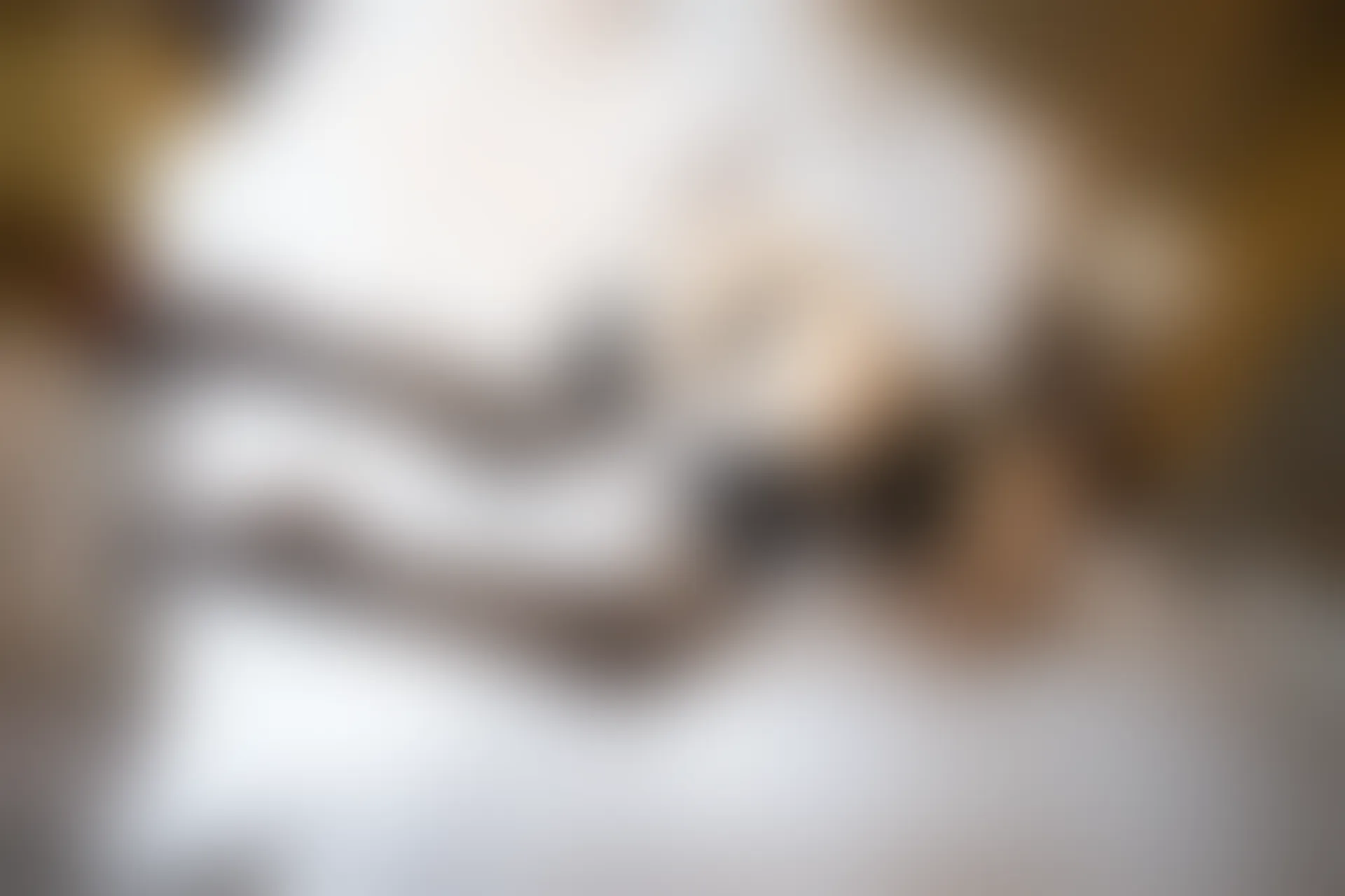 XiuRen秀人网 2019.09.06 No.1669 芝芝Booty [79+1P]