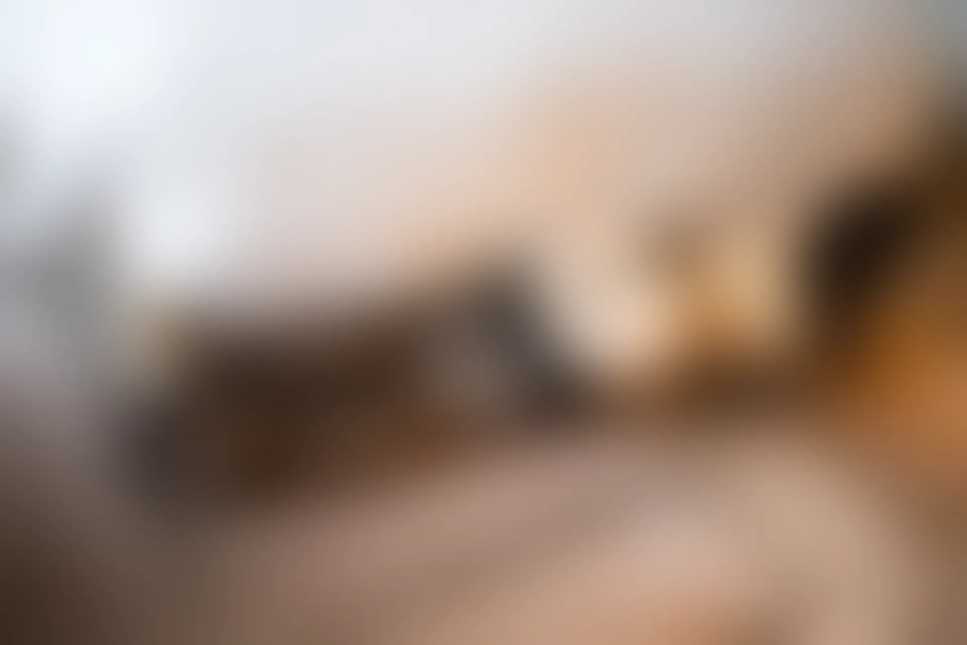 XiuRen秀人网 2019.09.06 No.1669 芝芝Booty [79+1P]