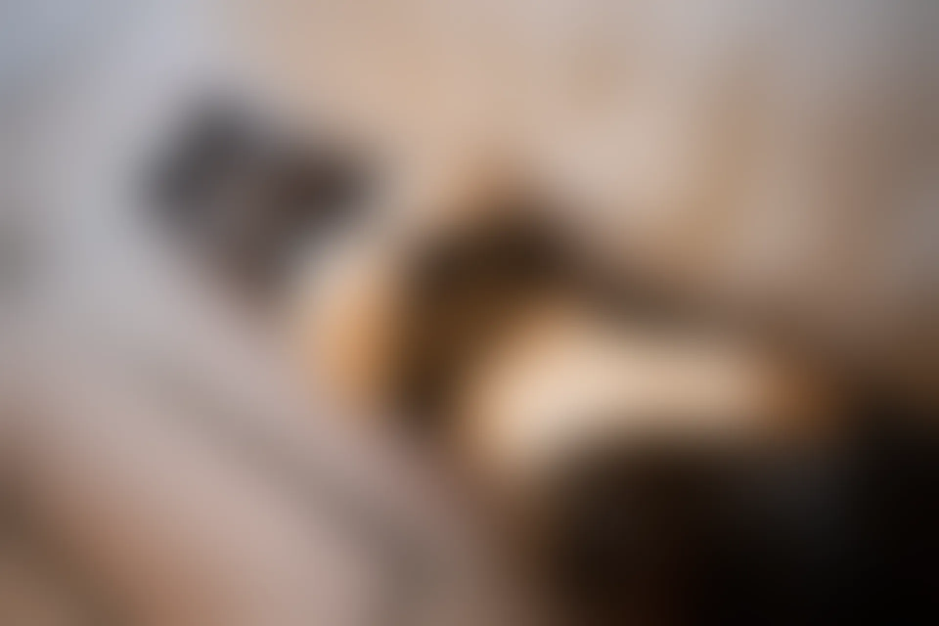 XiuRen秀人网 2019.09.06 No.1669 芝芝Booty [79+1P]