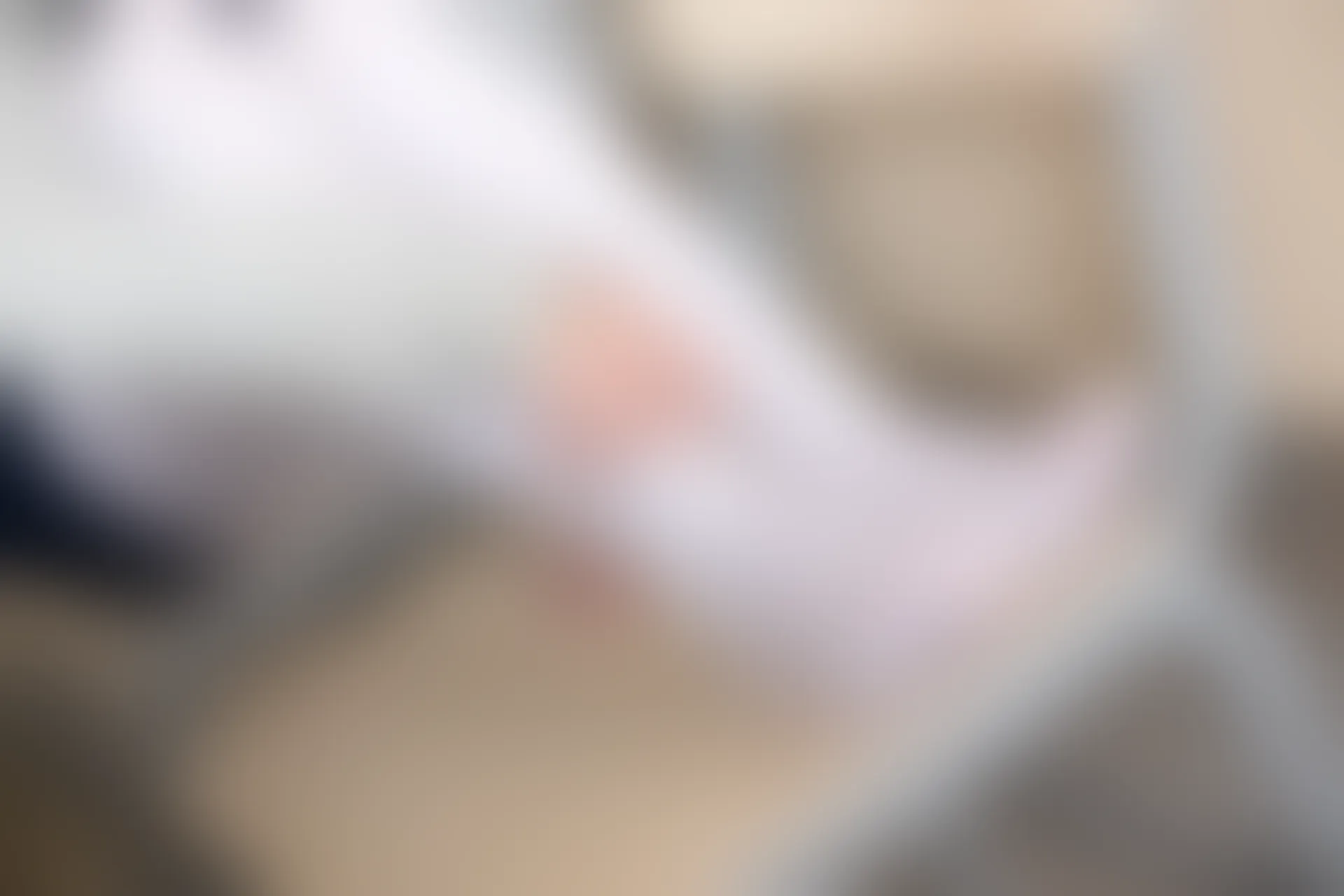 森萝财团 SSR-004 [98P-555M]校服, 森萝财团, 白丝