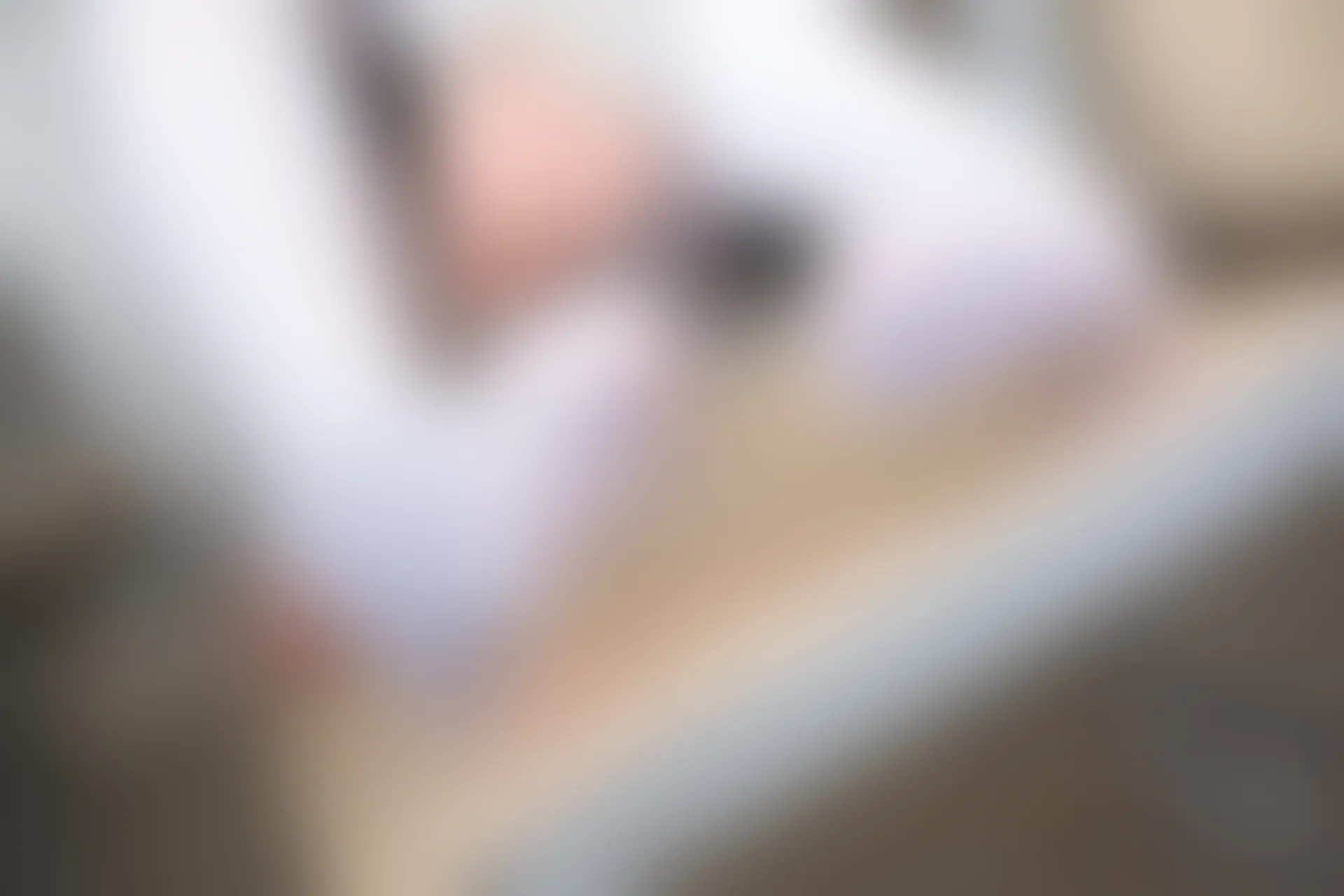 森萝财团 SSR-004 [98P-555M]校服, 森萝财团, 白丝