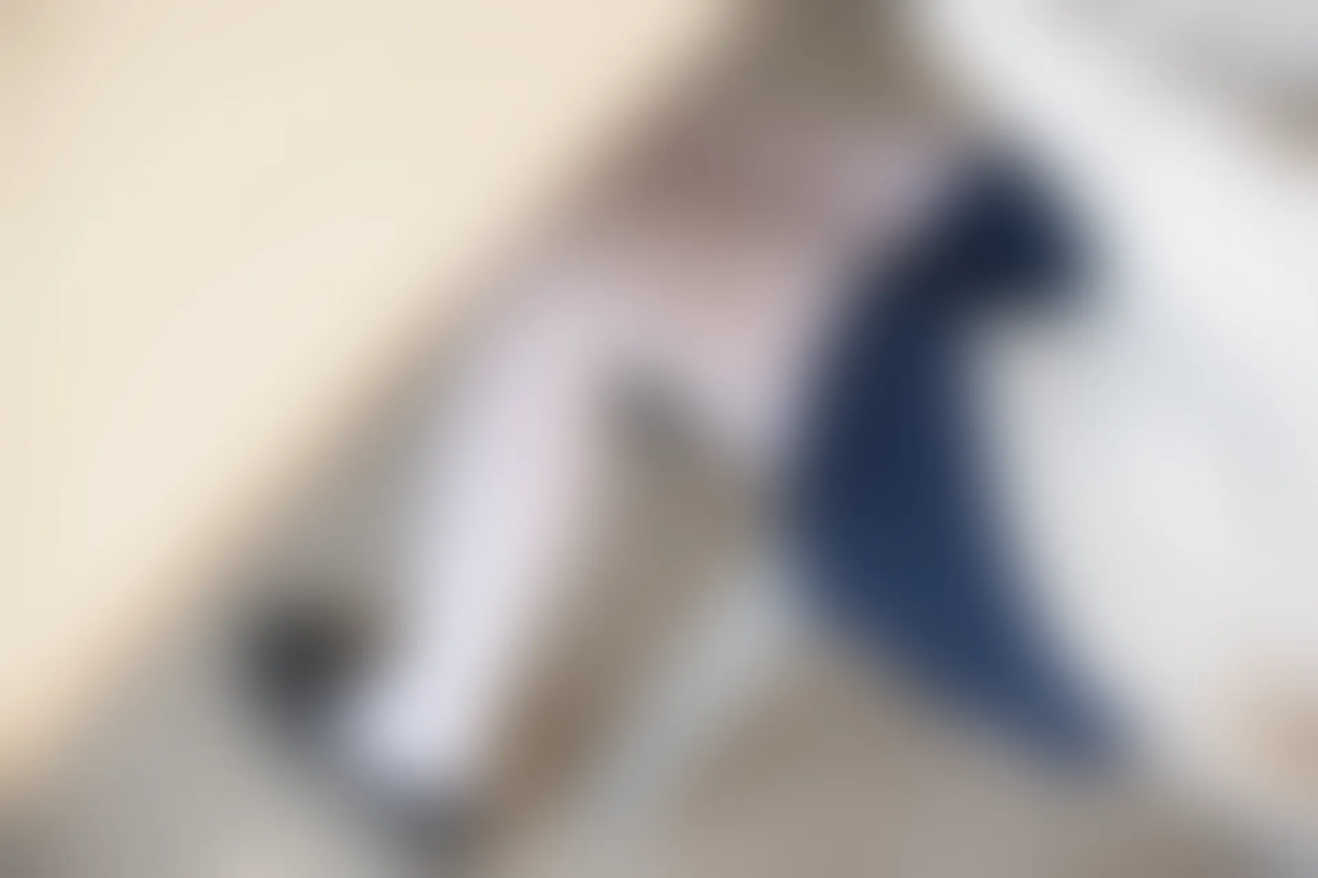 森萝财团 SSR-004 [98P-555M]校服, 森萝财团, 白丝