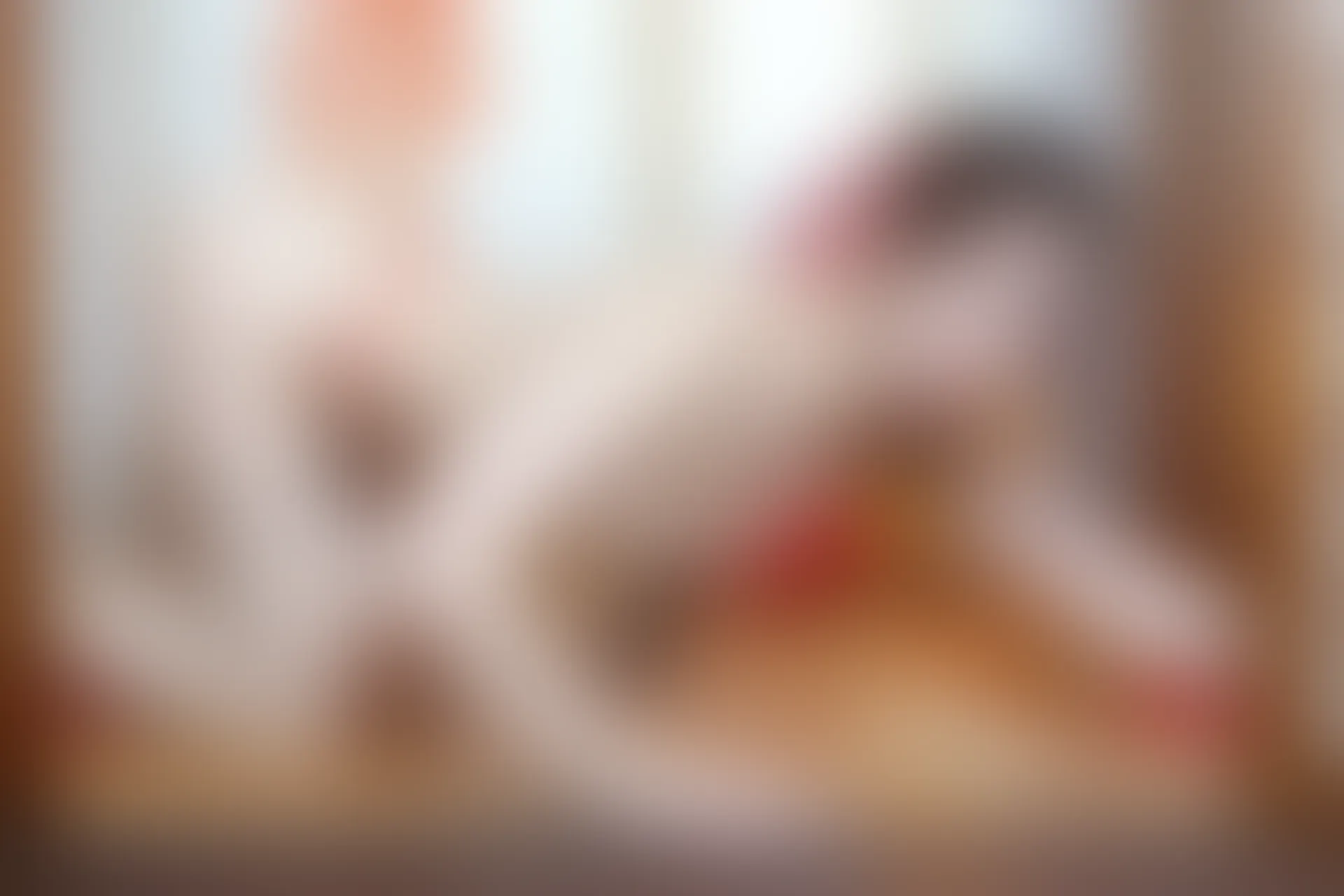 XIUREN秀人网 2023.11.29 NO.7736 月野兔美妞[54+1P／548MB]