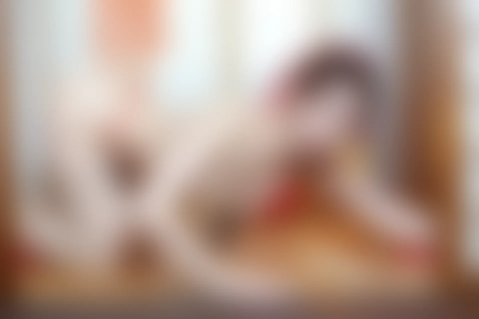 XIUREN秀人网 2023.11.29 NO.7736 月野兔美妞[54+1P／548MB]