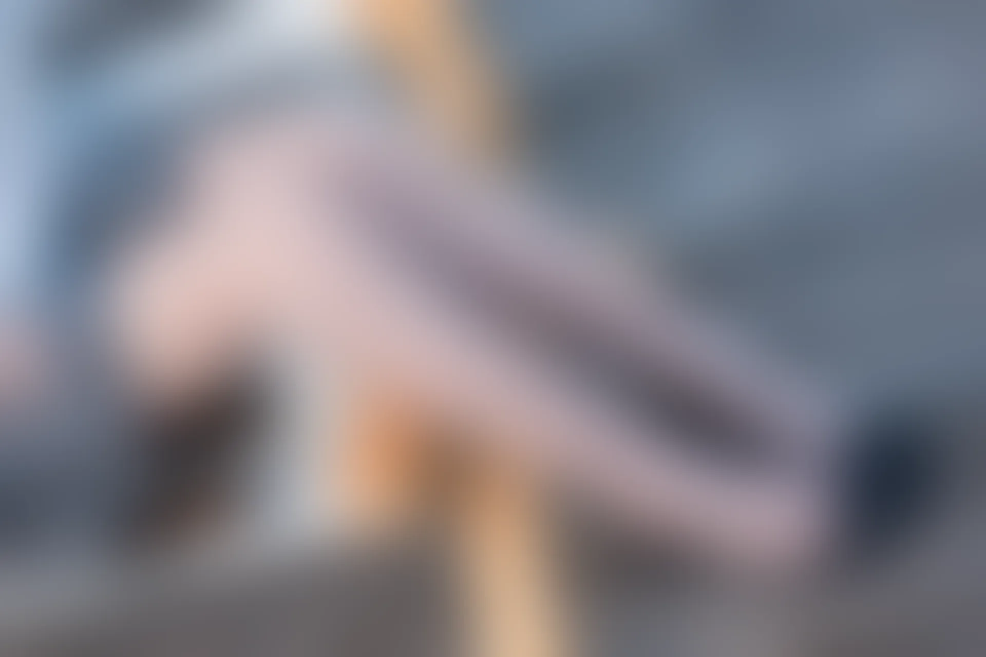 SSA丝社 超清写真 NO.062 西西 美丽冻人街拍[115P-2.08GB]