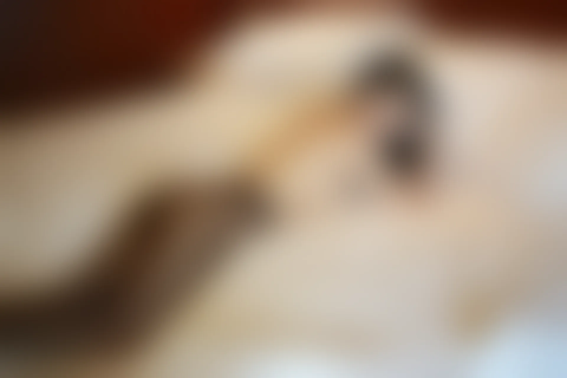 XiuRen秀人网 2013.11.17 No.049 于大小姐AYU