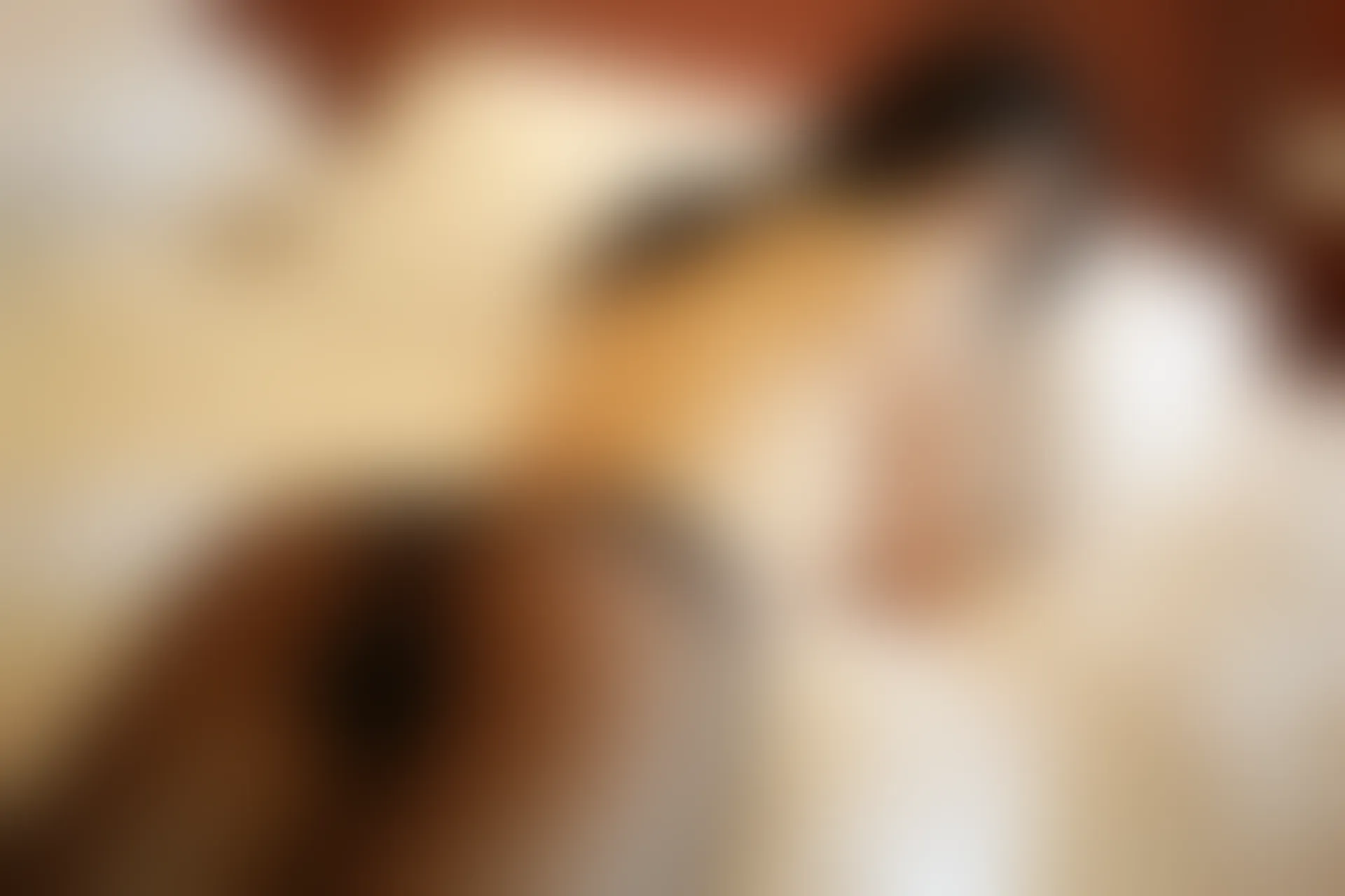XiuRen秀人网 2013.11.17 No.049 于大小姐AYU