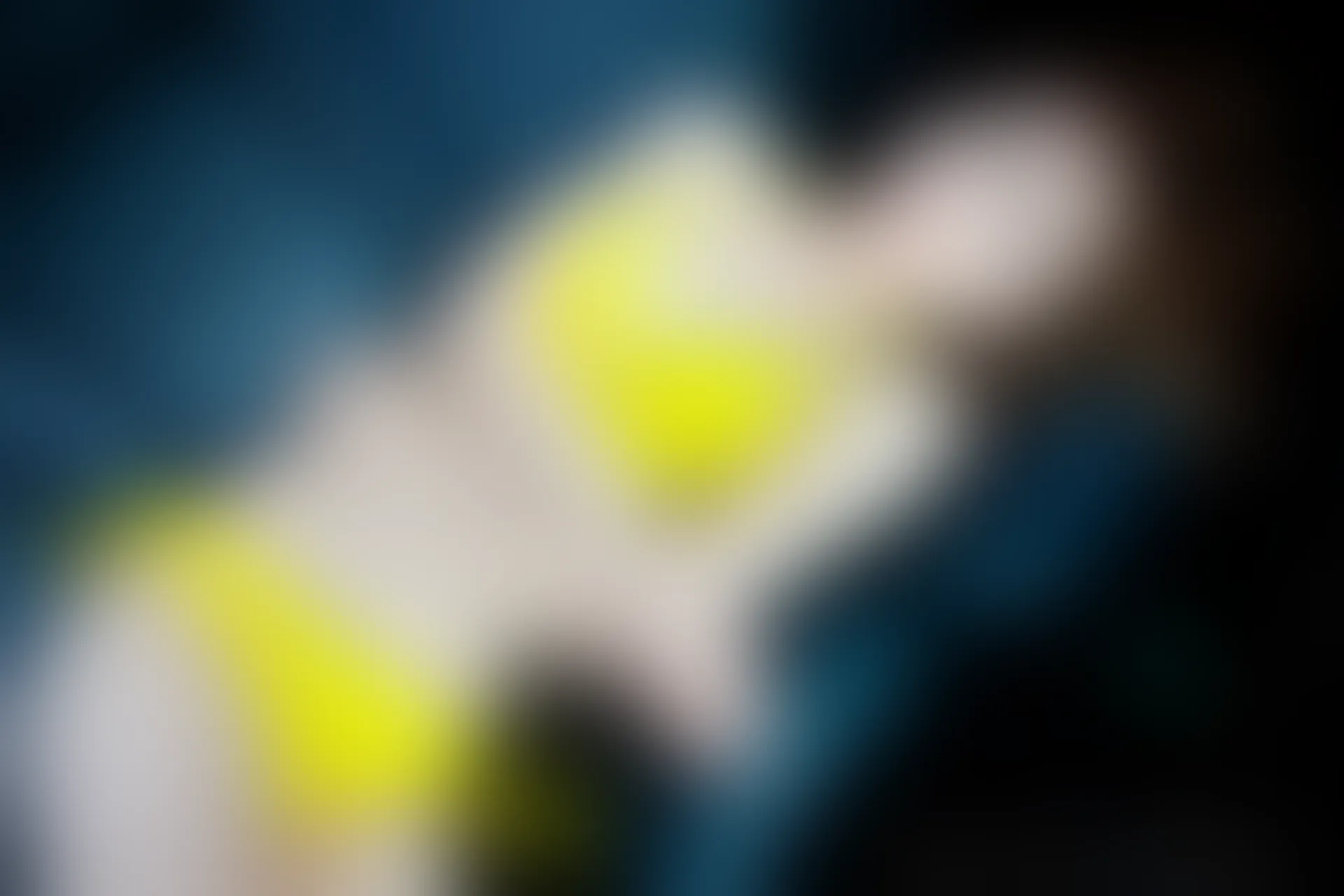 XiuRen秀人网 2013.09.24 No.016 加菲合集
