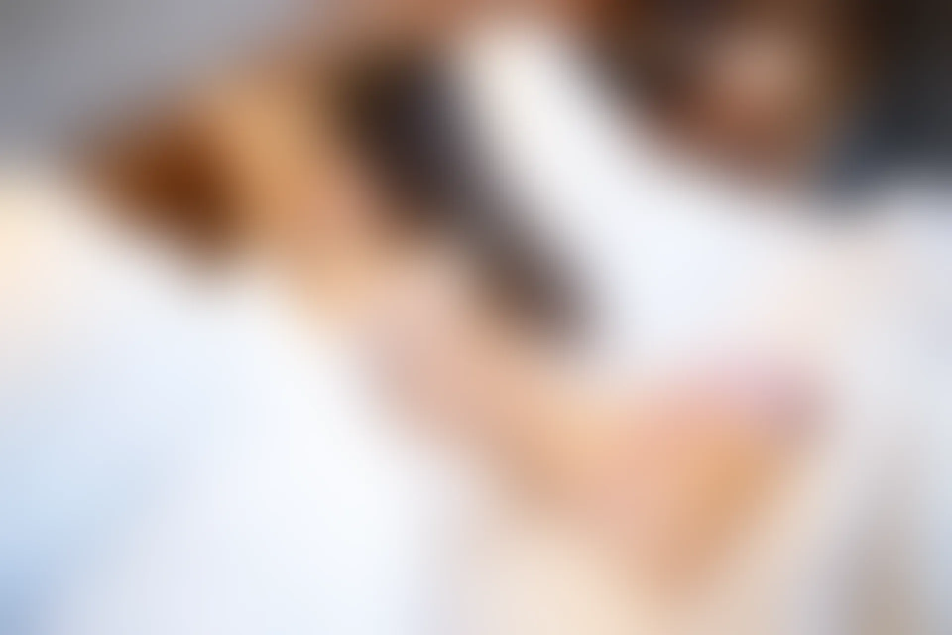 XiuRen秀人网 2019.09.25 No.1697 绯月樱-Cherry [100+1P]