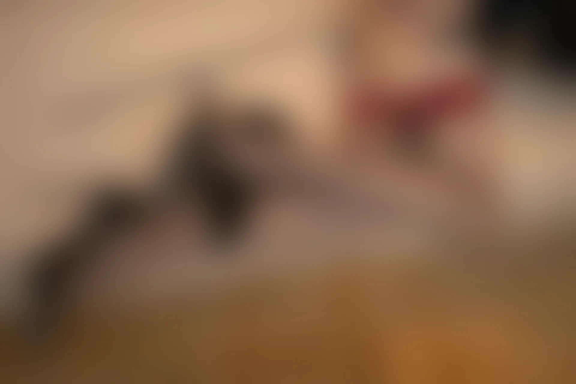 XiuRen秀人网 2022.01.21 No.4497 鱼子酱Fish 性感黑丝[83+1P 792MB]