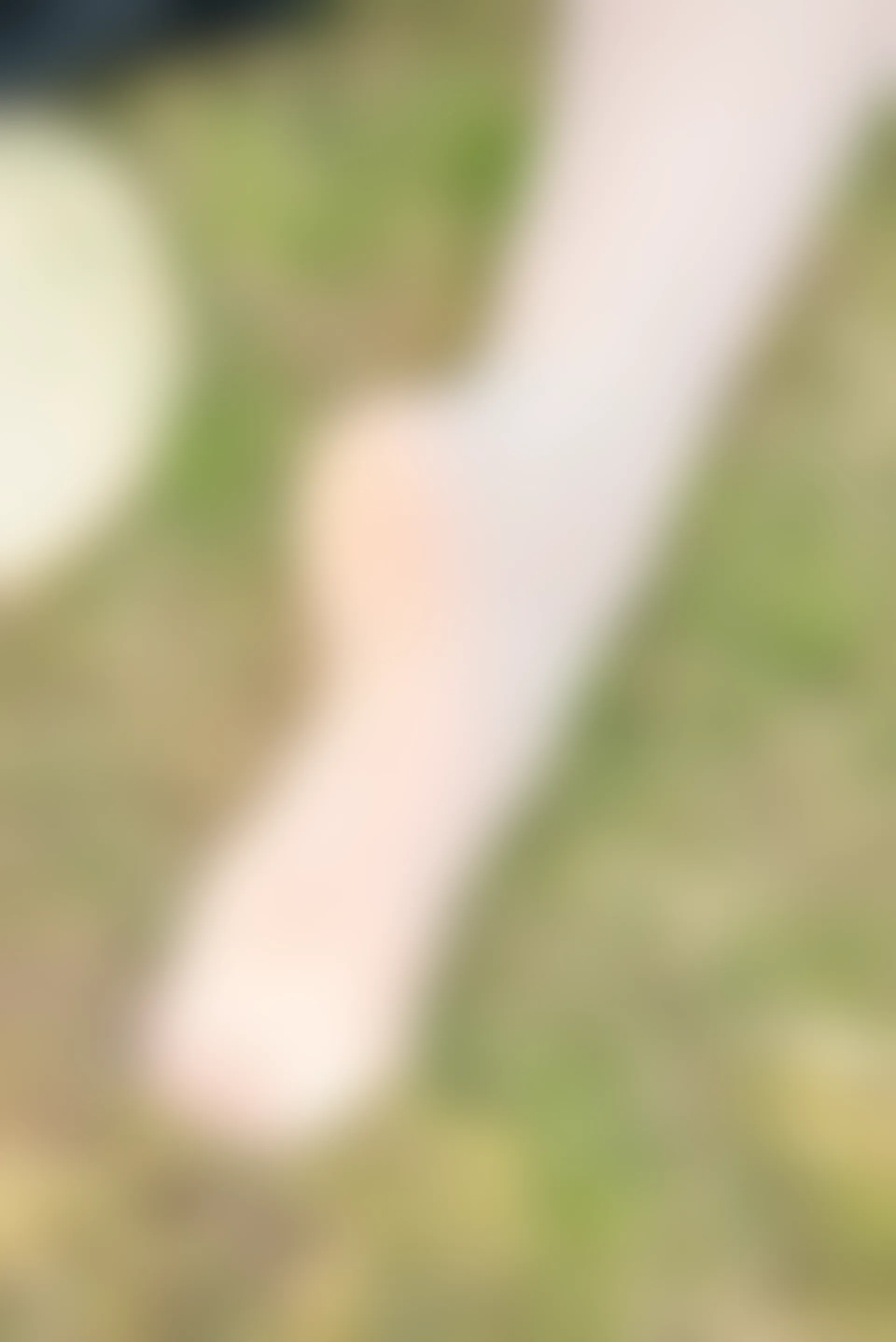 SSA丝社 超清写真 NO.050 云云 民国学姐[108P-2.44GB]