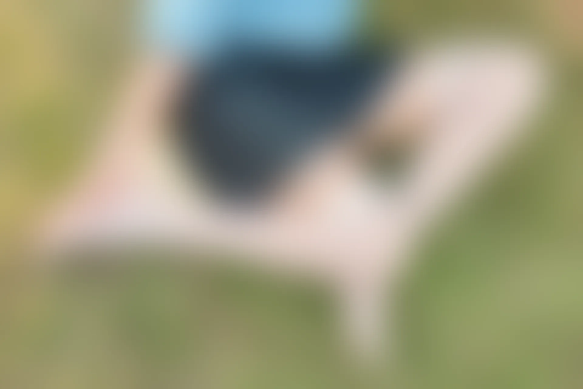 SSA丝社 超清写真 NO.050 云云 民国学姐[108P-2.44GB]