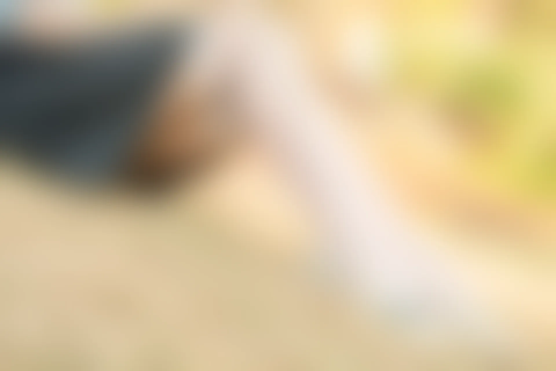 SSA丝社 超清写真 NO.050 云云 民国学姐[108P-2.44GB]