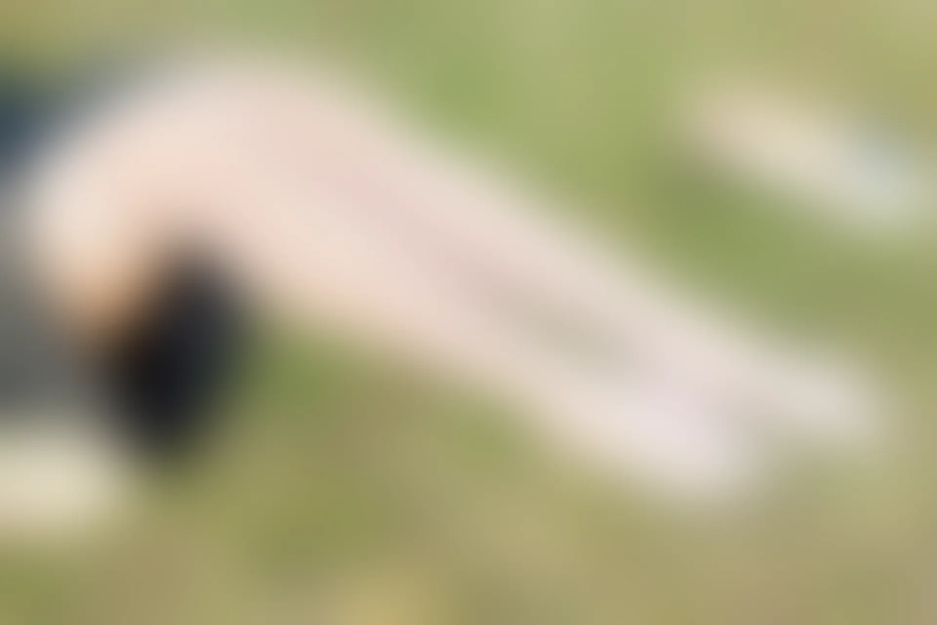 SSA丝社 超清写真 NO.050 云云 民国学姐[108P-2.44GB]