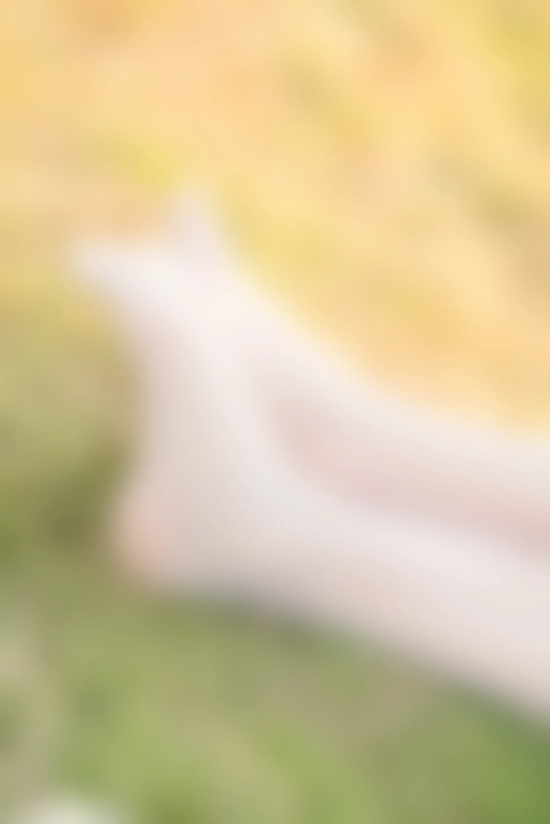 SSA丝社 超清写真 NO.050 云云 民国学姐[108P-2.44GB]