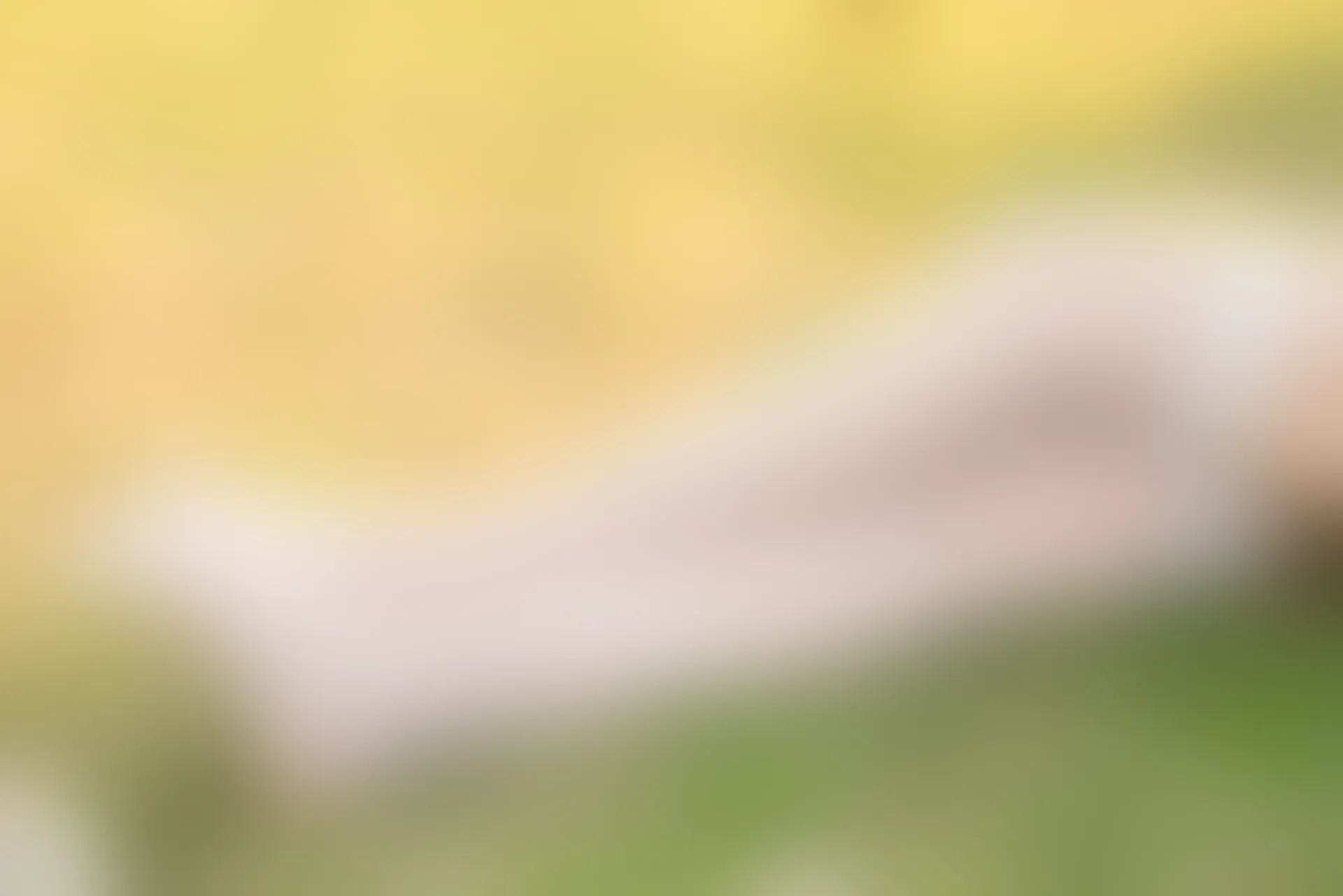 SSA丝社 超清写真 NO.050 云云 民国学姐[108P-2.44GB]