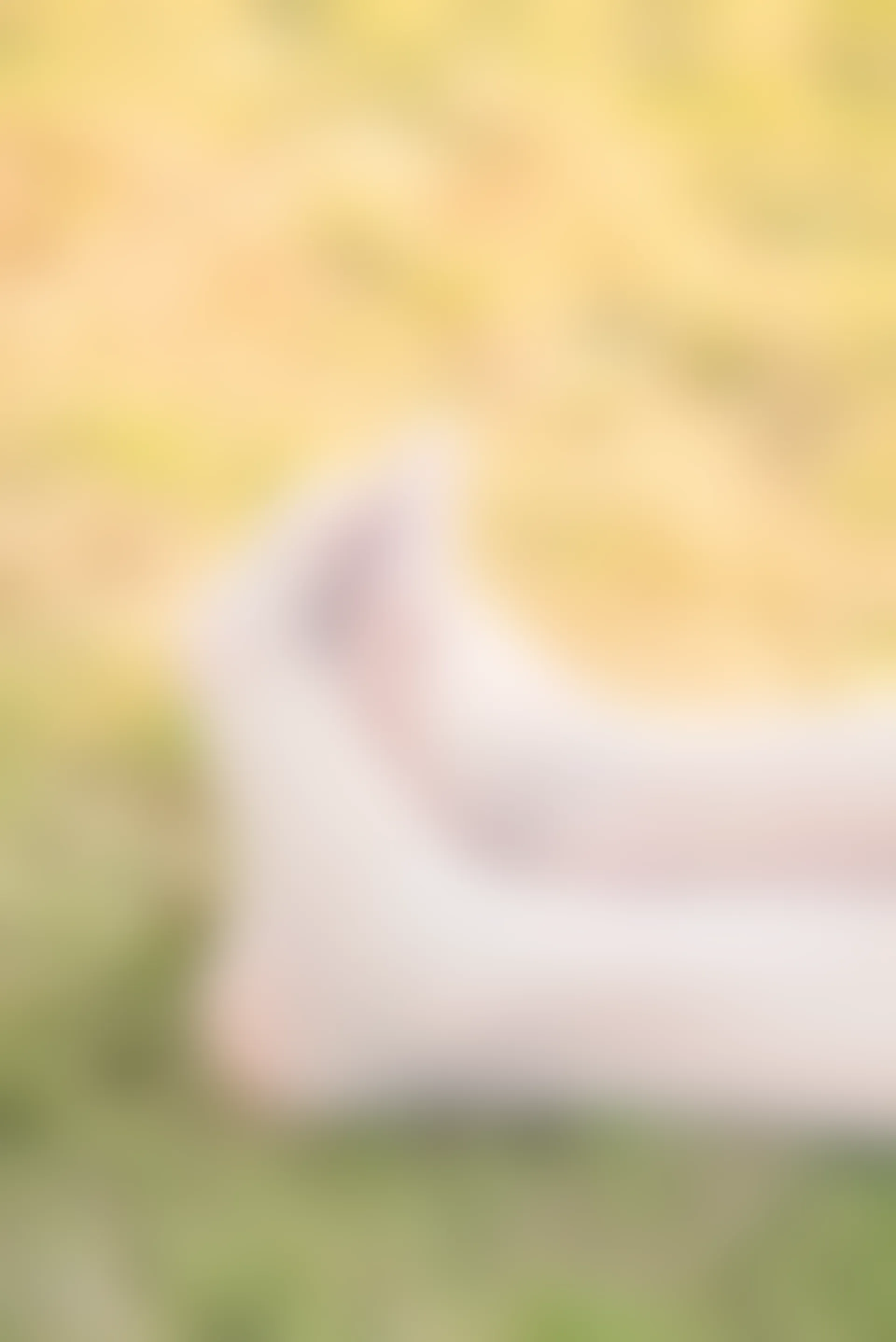 SSA丝社 超清写真 NO.050 云云 民国学姐[108P-2.44GB]