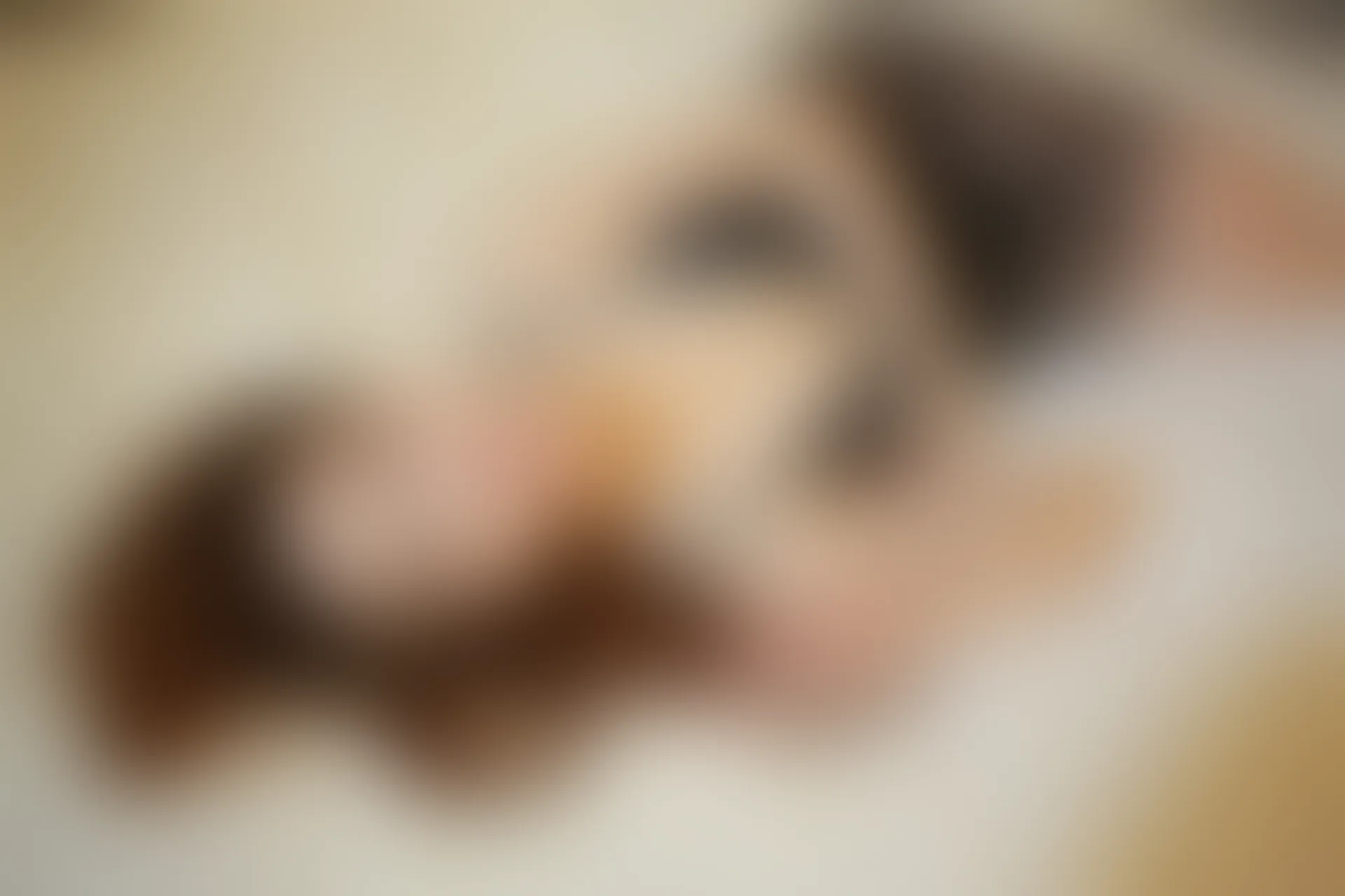 XiuRen秀人网 2013.11.02 No.042 深圳模特合集51P]