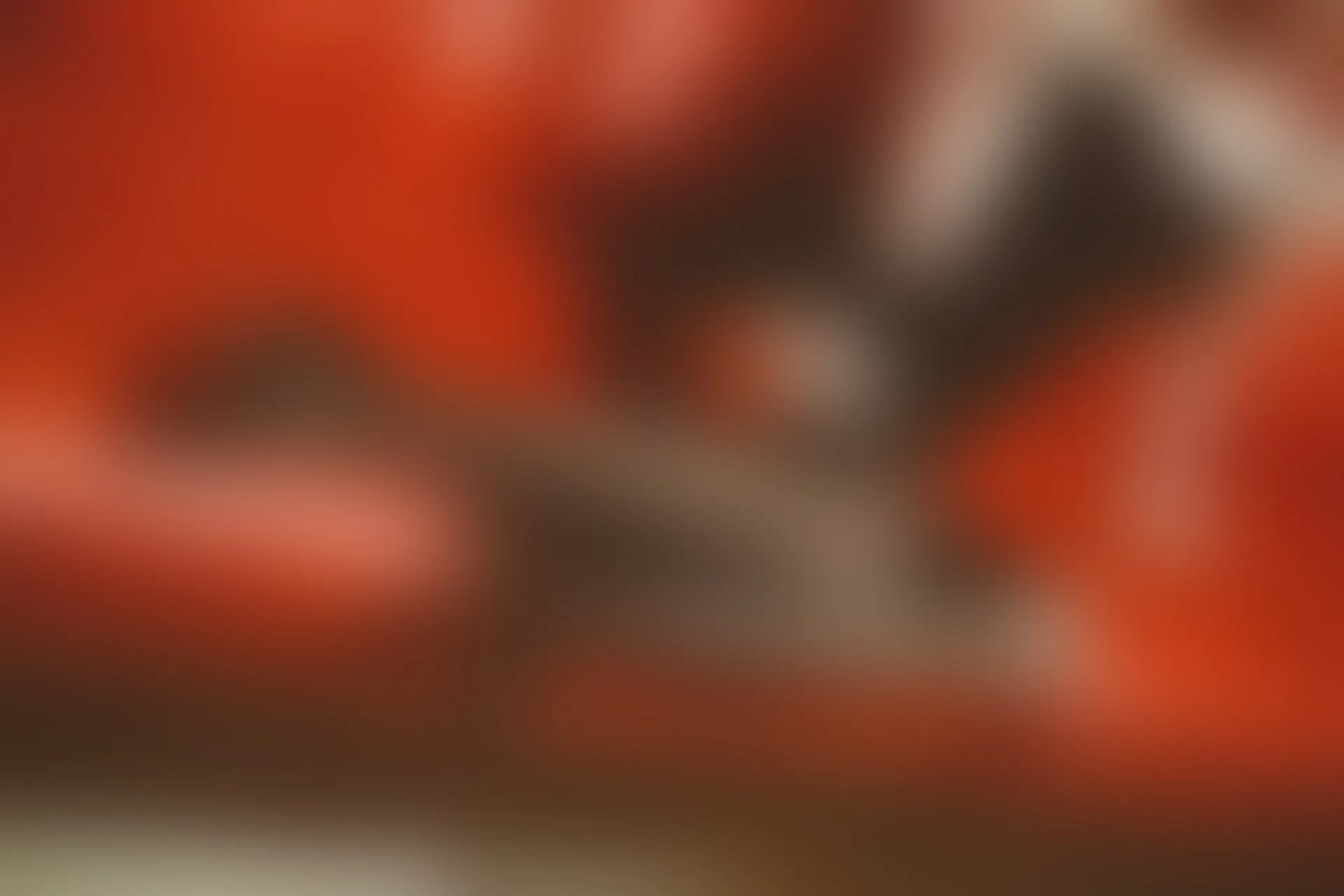 SSA丝社 超清写真 NO.015 琪琪 原来她才是最吸引我的旋律[99P／1.89GB]