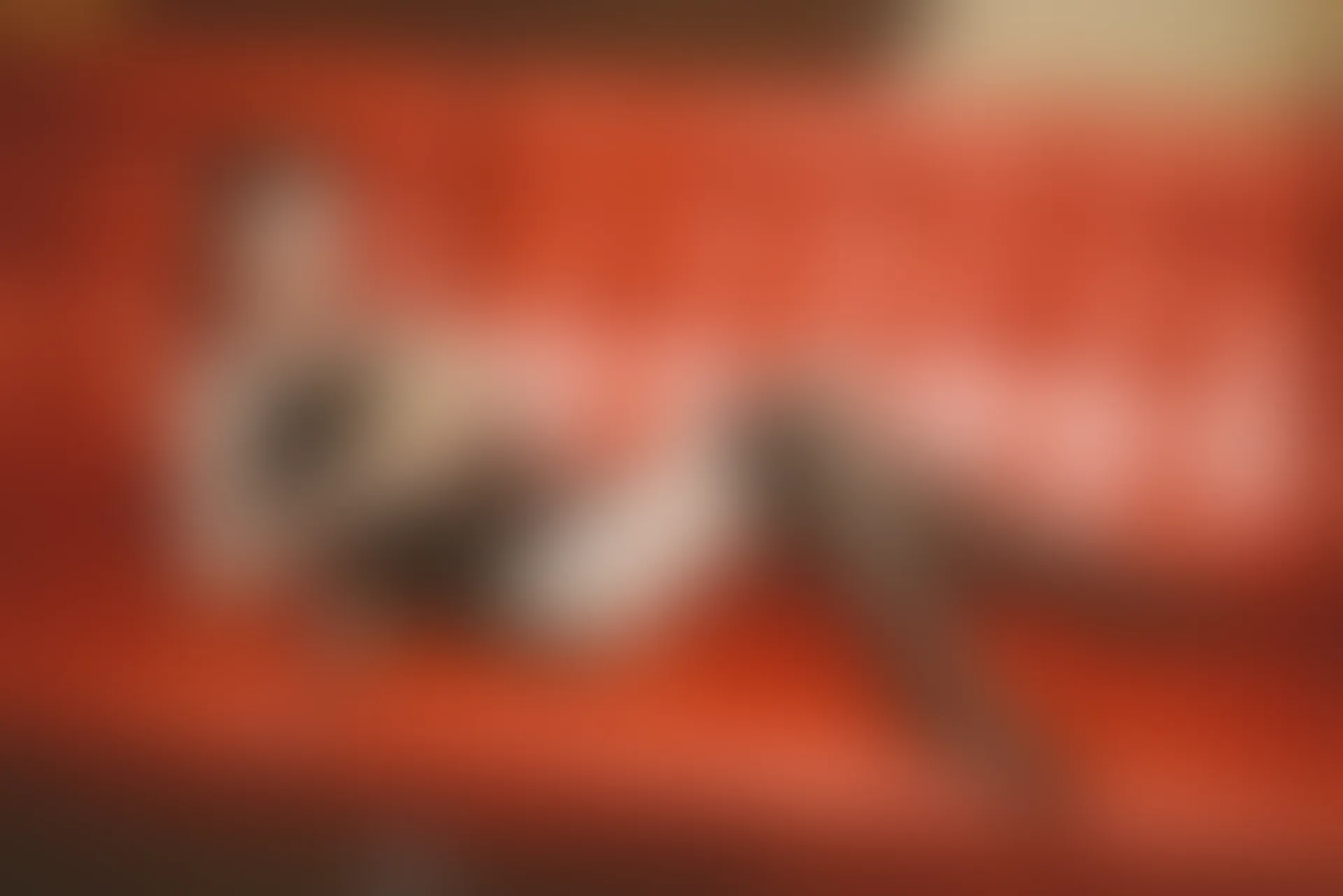 SSA丝社 超清写真 NO.015 琪琪 原来她才是最吸引我的旋律[99P／1.89GB]