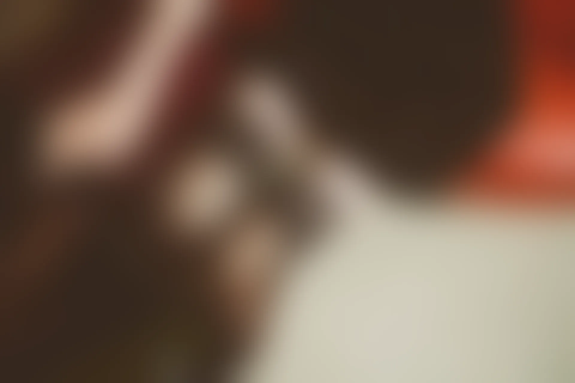 SSA丝社 超清写真 NO.015 琪琪 原来她才是最吸引我的旋律[99P／1.89GB]