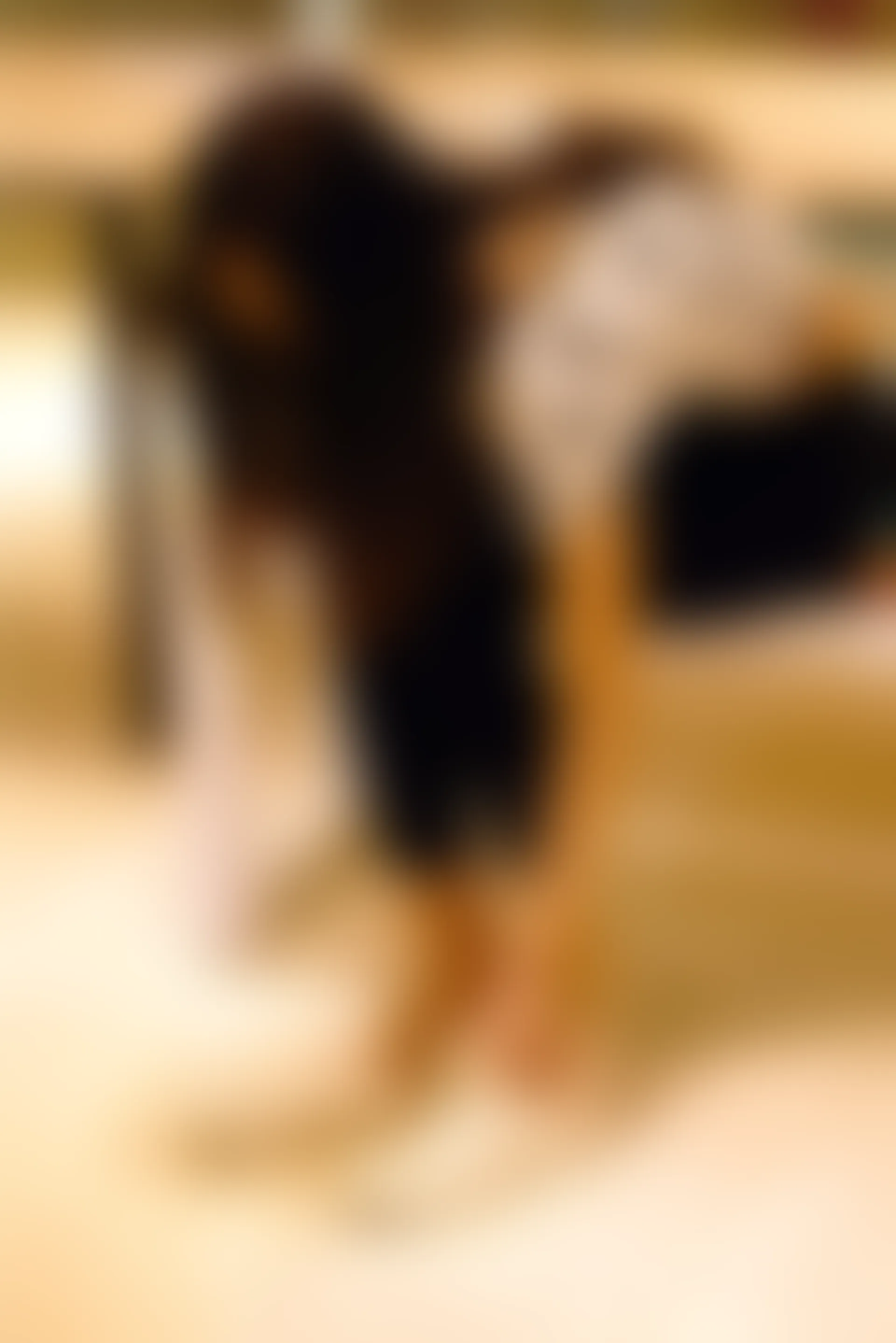 初夏女神 NO.072 依依 邻家女孩-商场篇[88P+1V／3.83GB]