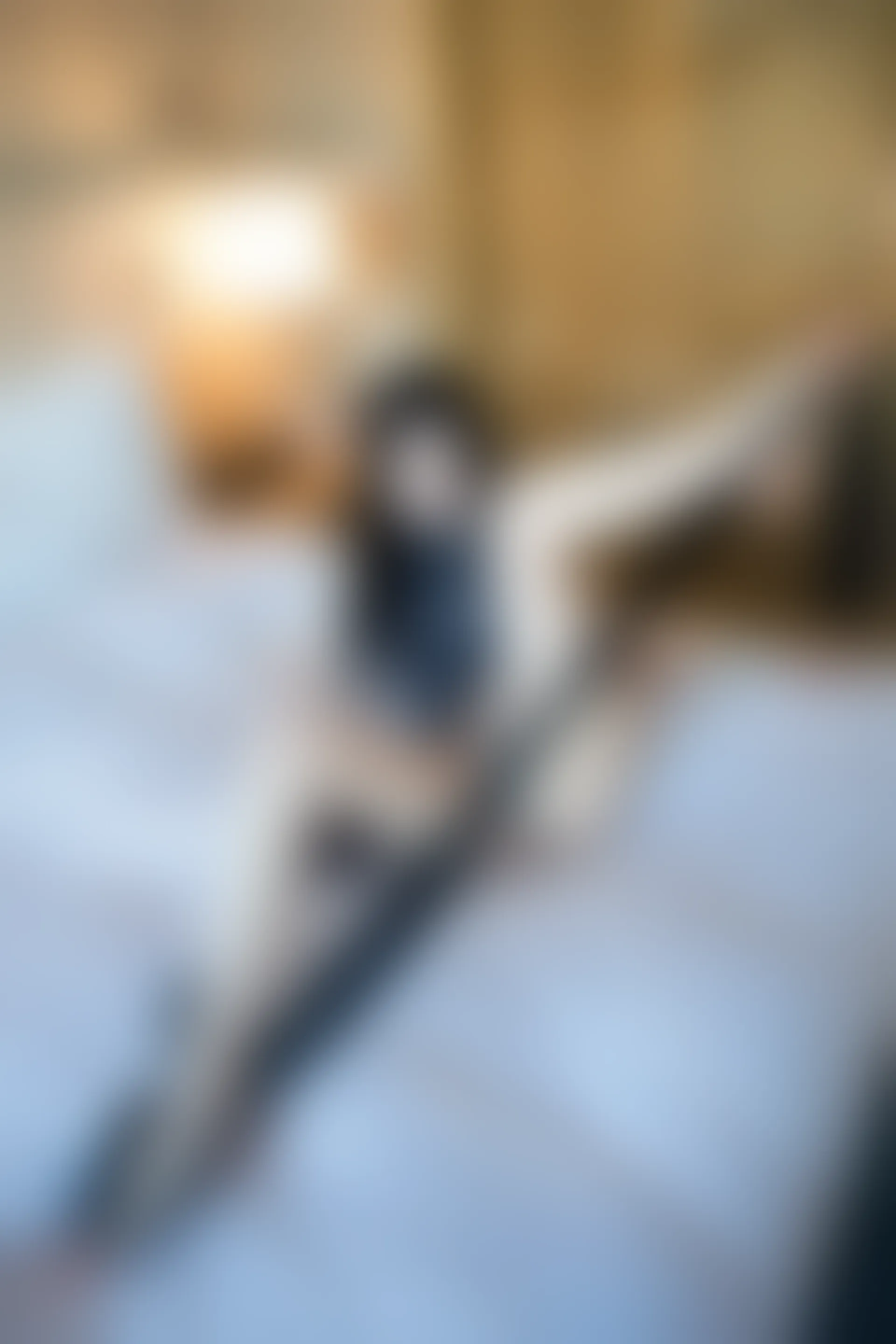 XIUREN秀人网 2024.01.25 NO.8016 杉菜[82+1P／701MB]