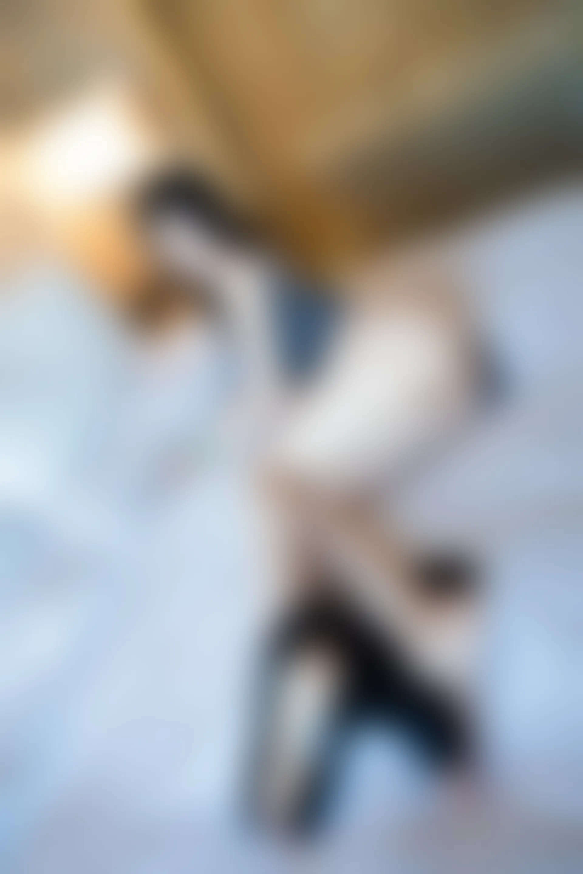XIUREN秀人网 2024.01.25 NO.8016 杉菜[82+1P／701MB]