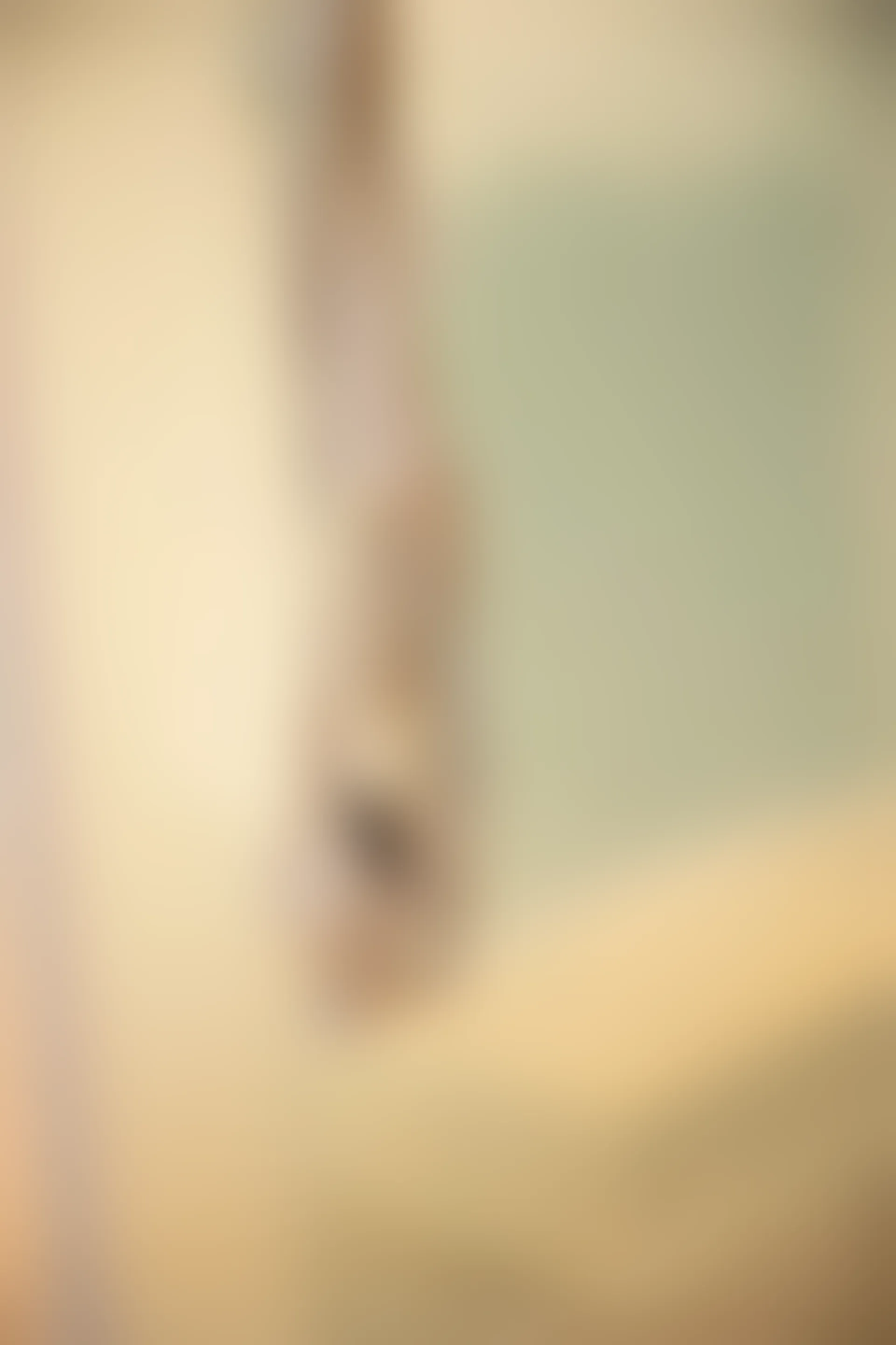 XIUREN秀人网 2024.01.25 NO.8016 杉菜[82+1P／701MB]