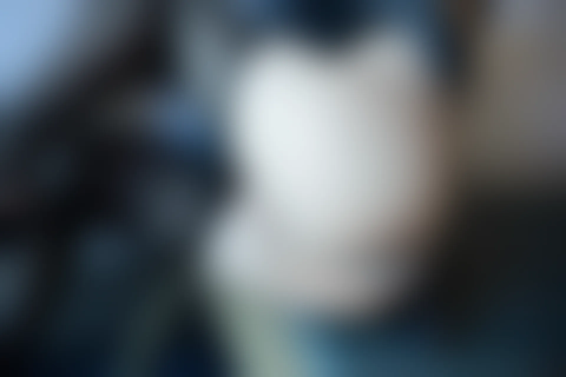 XIUREN秀人网 2024.01.25 NO.8016 杉菜[82+1P／701MB]