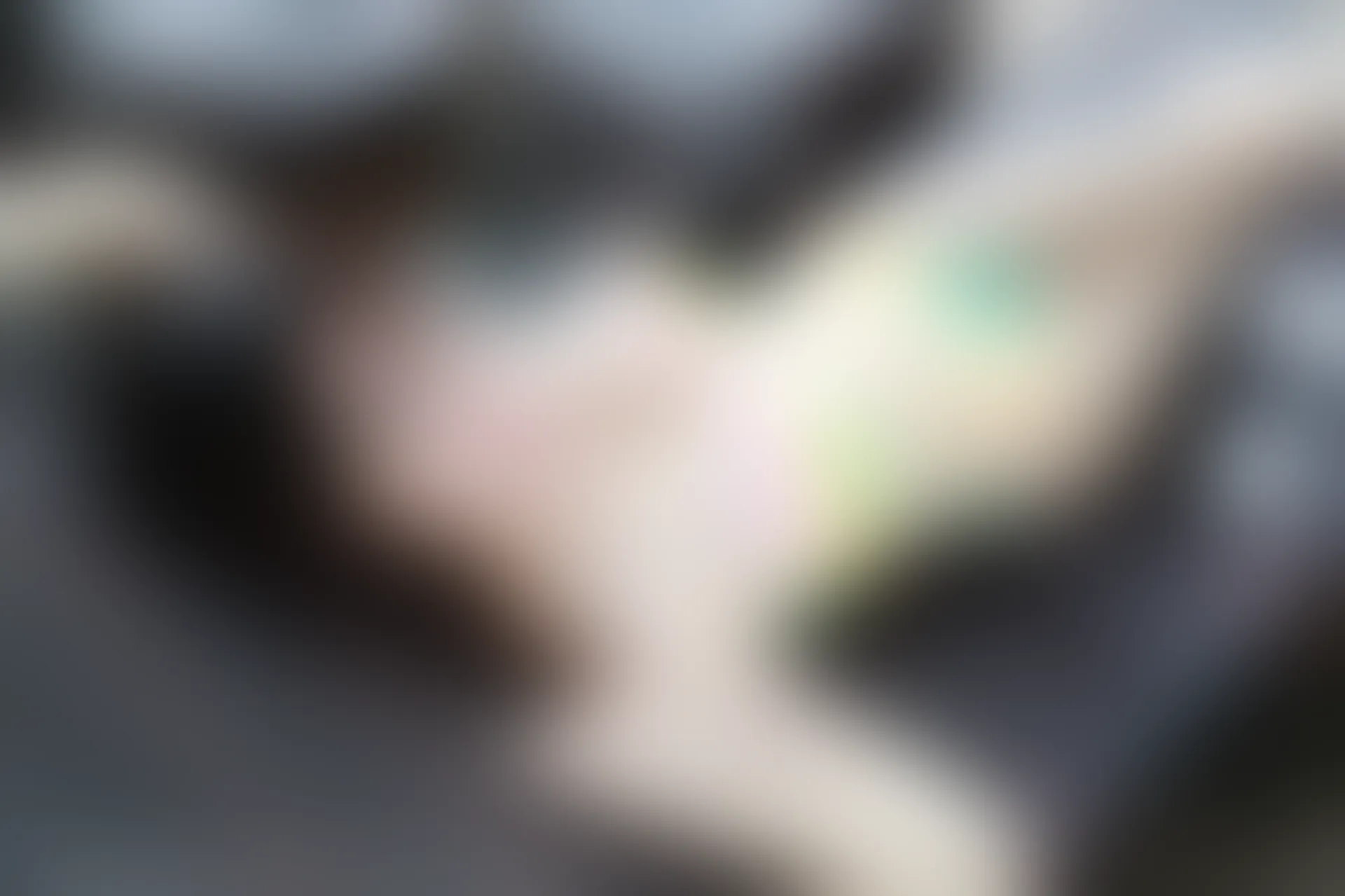 XiuRen秀人网 2015.07.31 No.369 刘飞儿Faye [68P+1P226MB]