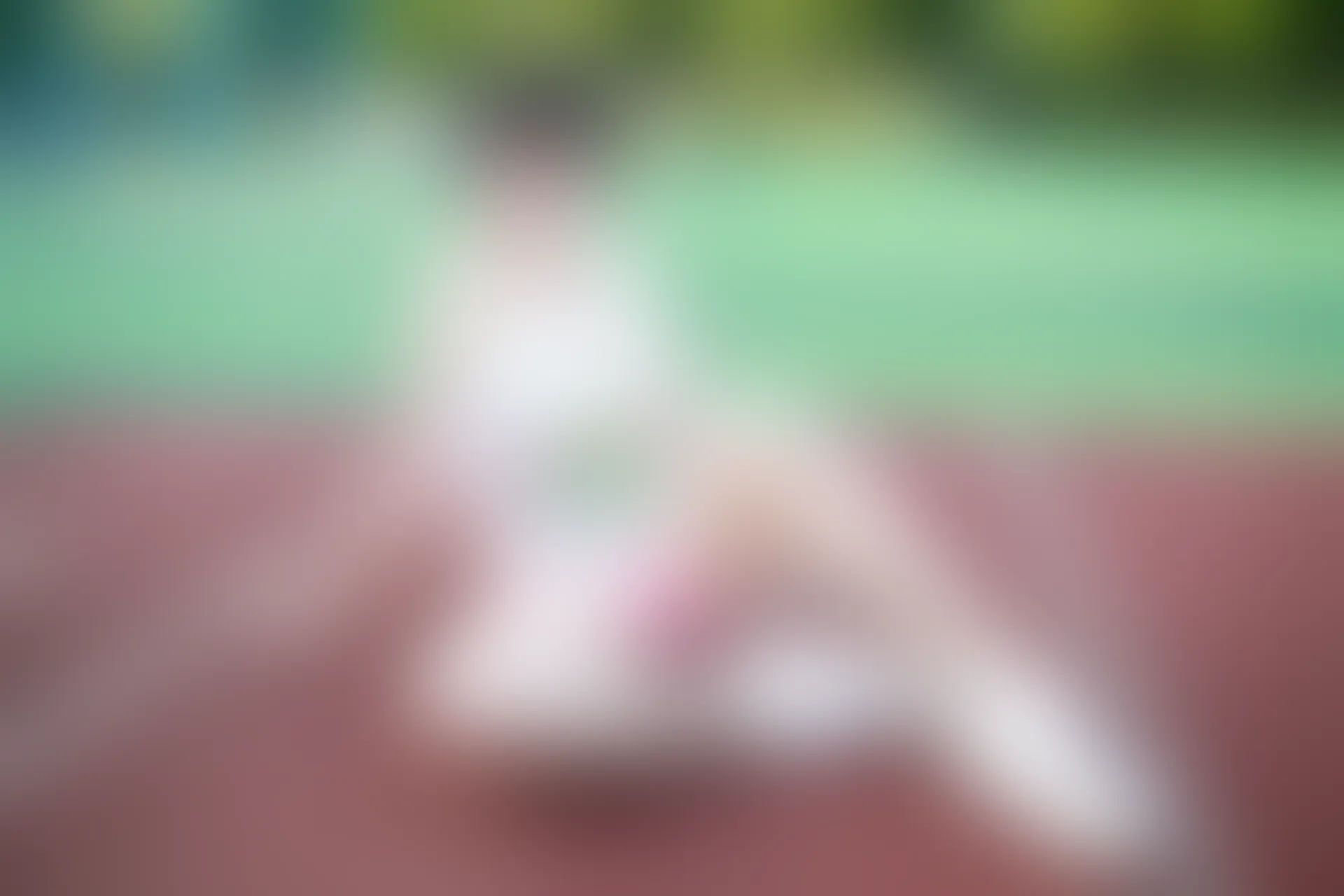 XiuRen秀人网 2015.08.27 No.387 唐雨辰TYC[68+1P262M]