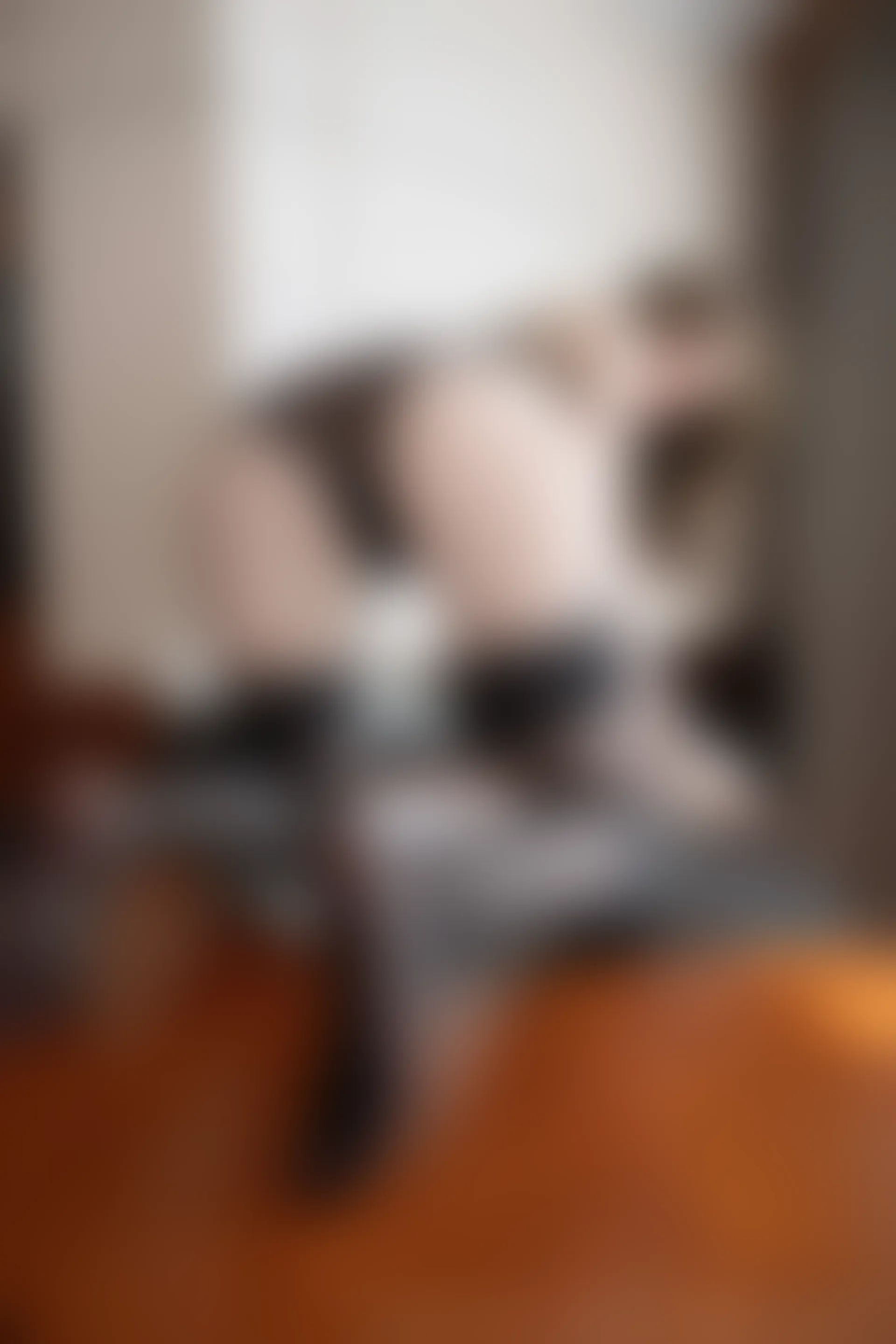 XiuRen秀人网 2021.12.13 No.4331 梦心玥 御姐美腿[106+1P 918MB]
