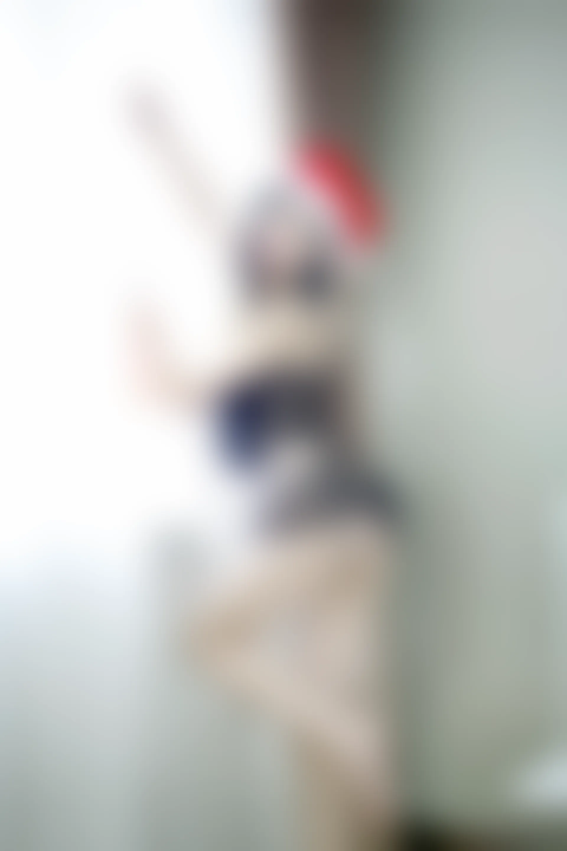 XiuRen秀人网 2015.01.30 No.290 谢忱倬 [66P217MB]