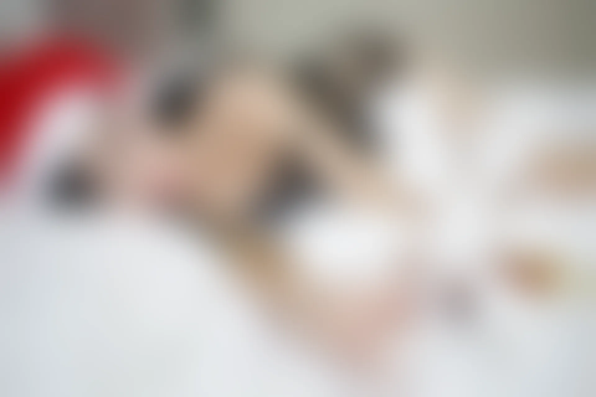 XiuRen秀人网 2015.01.30 No.290 谢忱倬 [66P217MB]