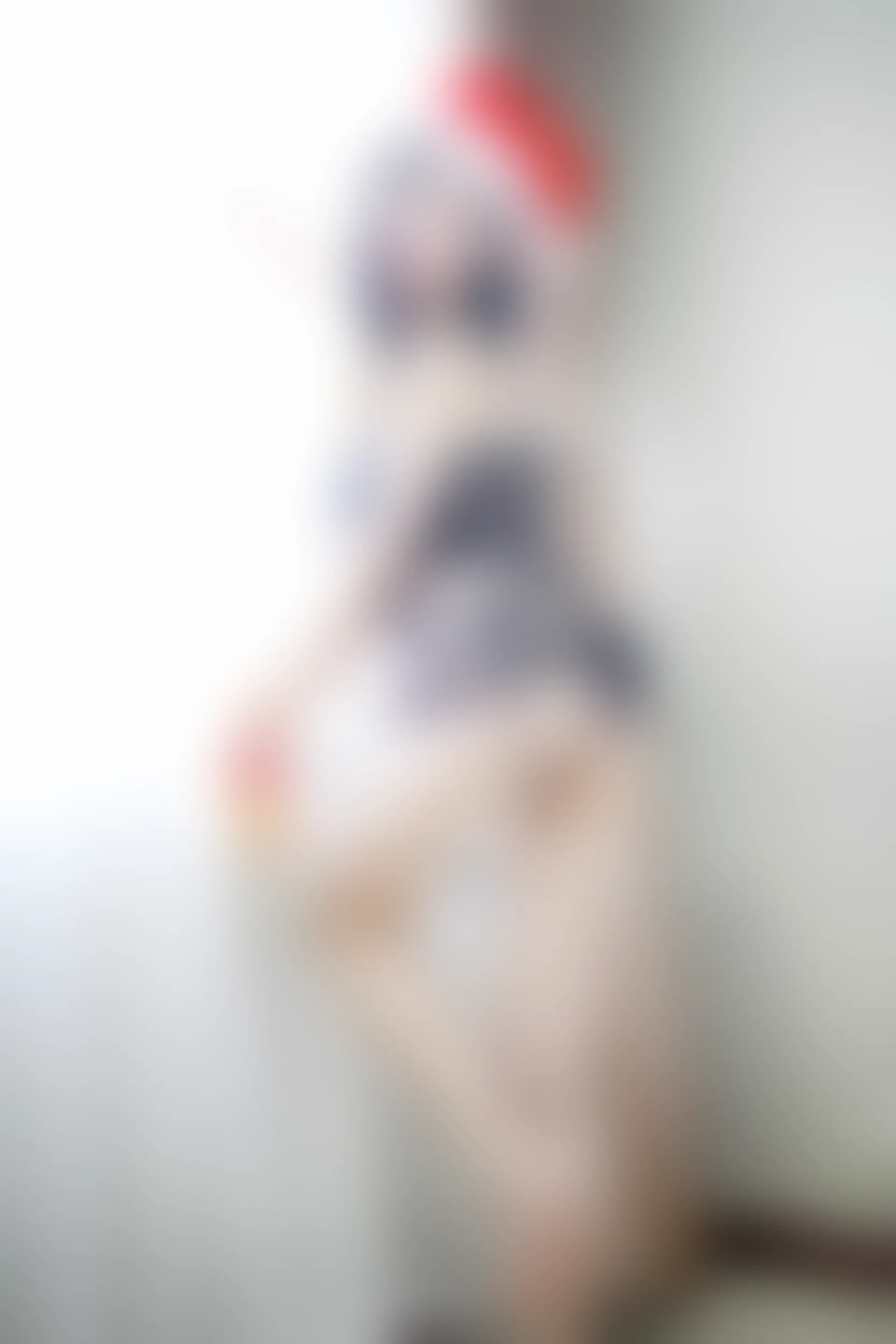 XiuRen秀人网 2015.01.30 No.290 谢忱倬 [66P217MB]