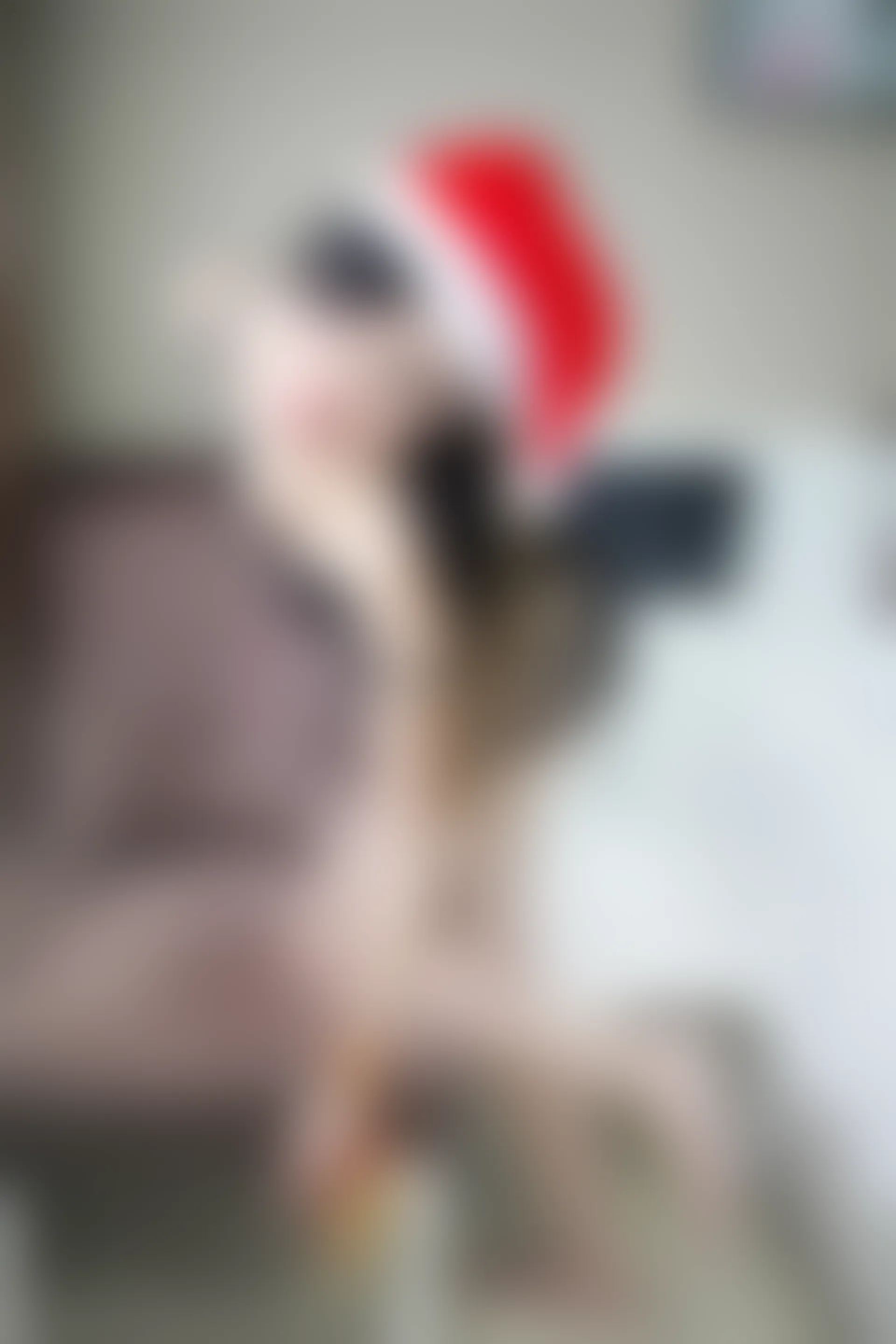 XiuRen秀人网 2015.01.30 No.290 谢忱倬 [66P217MB]
