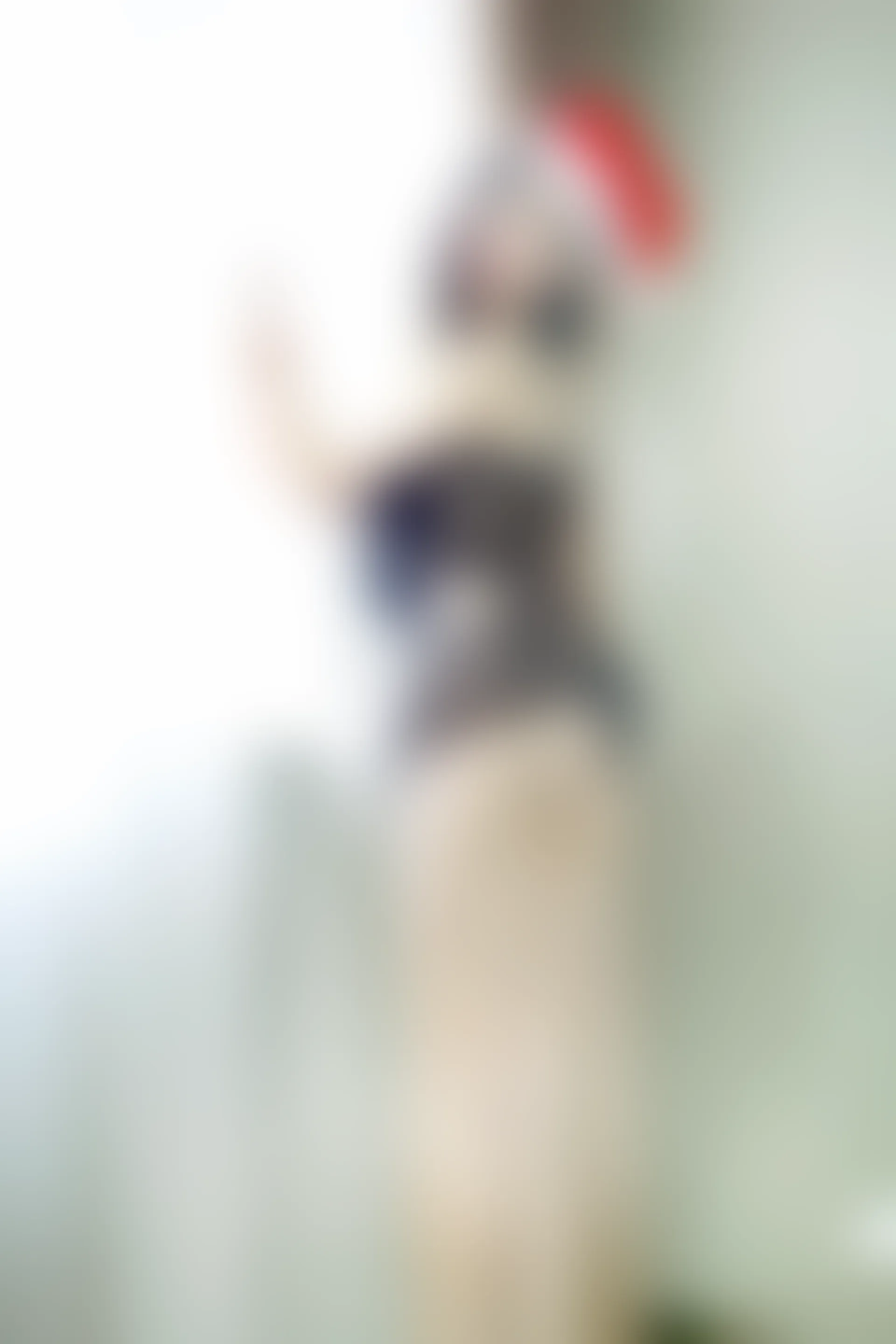 XiuRen秀人网 2015.01.30 No.290 谢忱倬 [66P217MB]