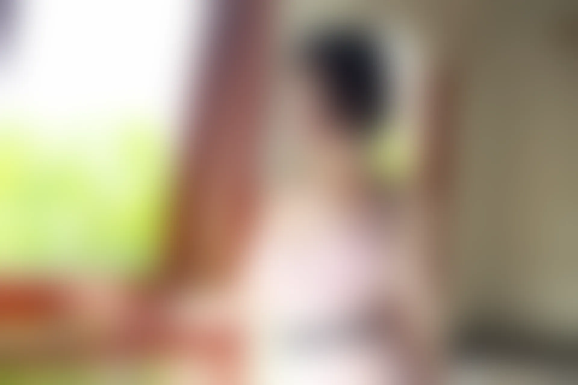 XiuRen秀人网 2015.12.18 No.442 Evelyn艾莉[52+1P178M]