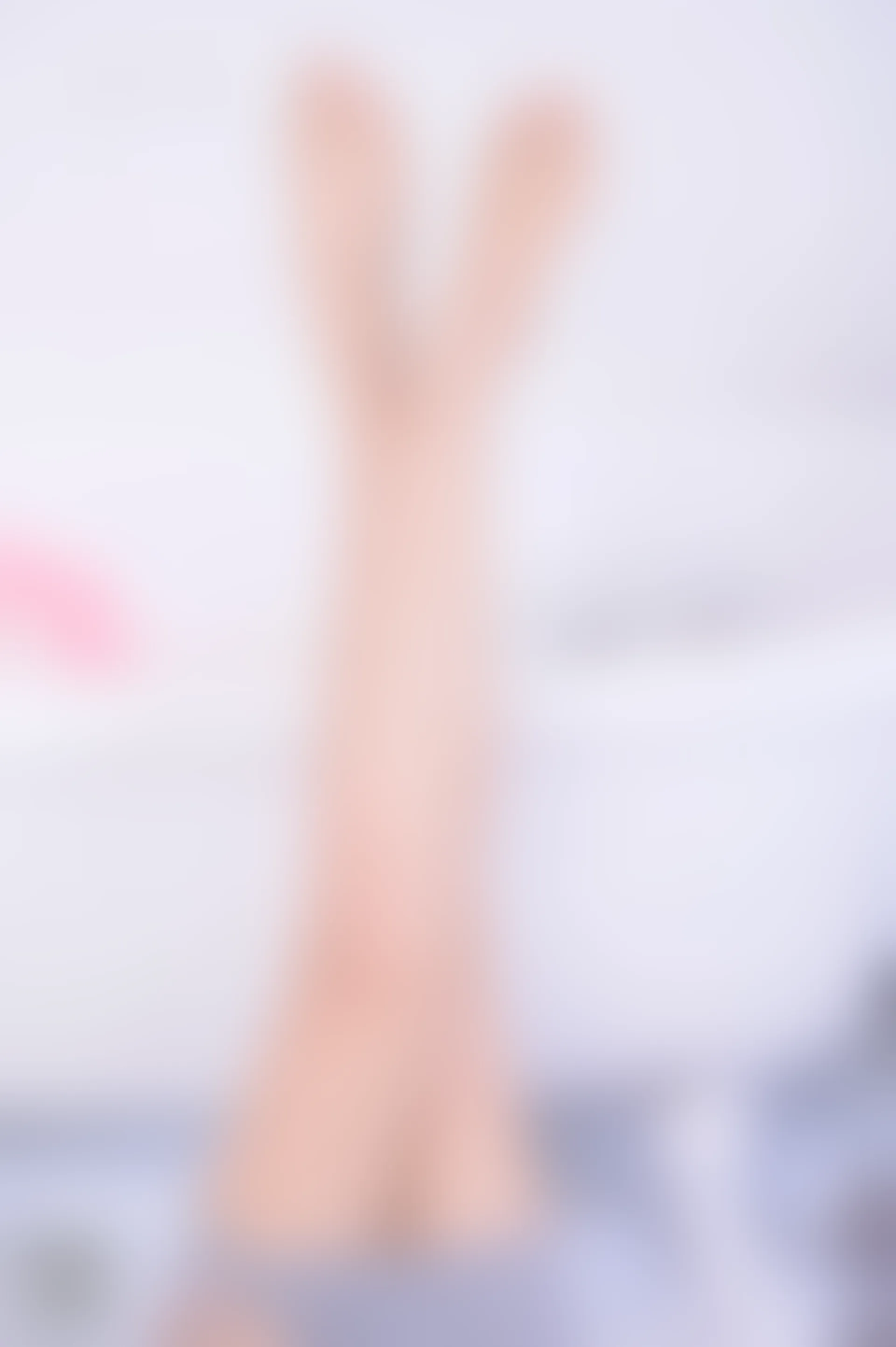 SSA丝社 超清写真 NO.195 蓉蓉 凹凸有致的曲线[137P-1.46GB]
