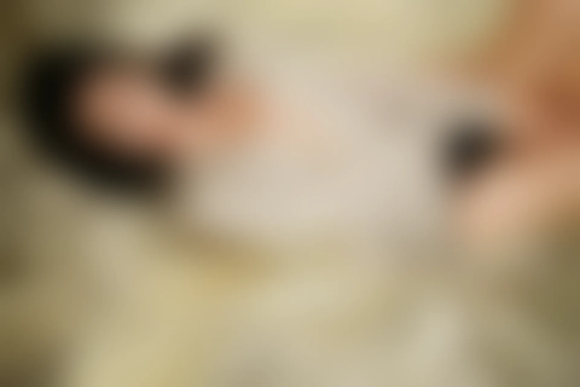 XiuRen秀人网 2013.10.24 No.036 不性感女人Annie 51P]