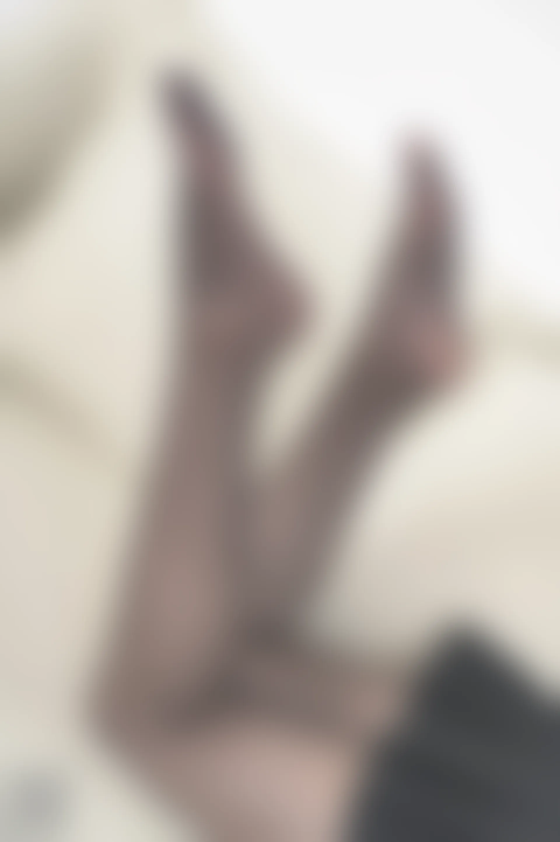 SSA丝社 超清写真 NO.185 莉莉 居家混搭风日常黑丝穿搭示范[121P-1.57GB]