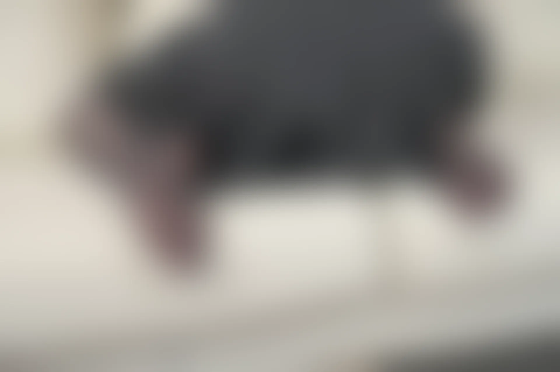SSA丝社 超清写真 NO.185 莉莉 居家混搭风日常黑丝穿搭示范[121P-1.57GB]