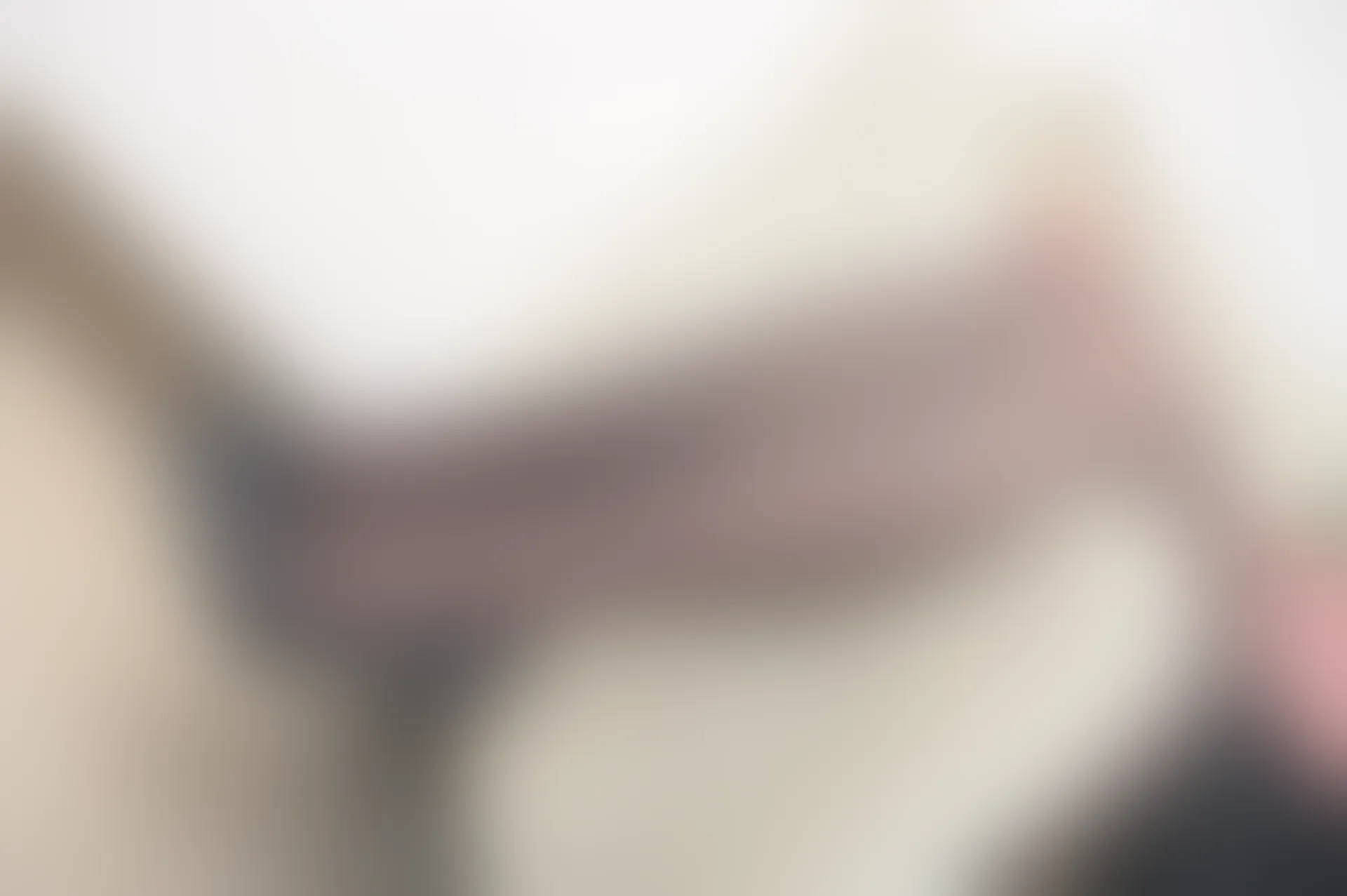 SSA丝社 超清写真 NO.185 莉莉 居家混搭风日常黑丝穿搭示范[121P-1.57GB]
