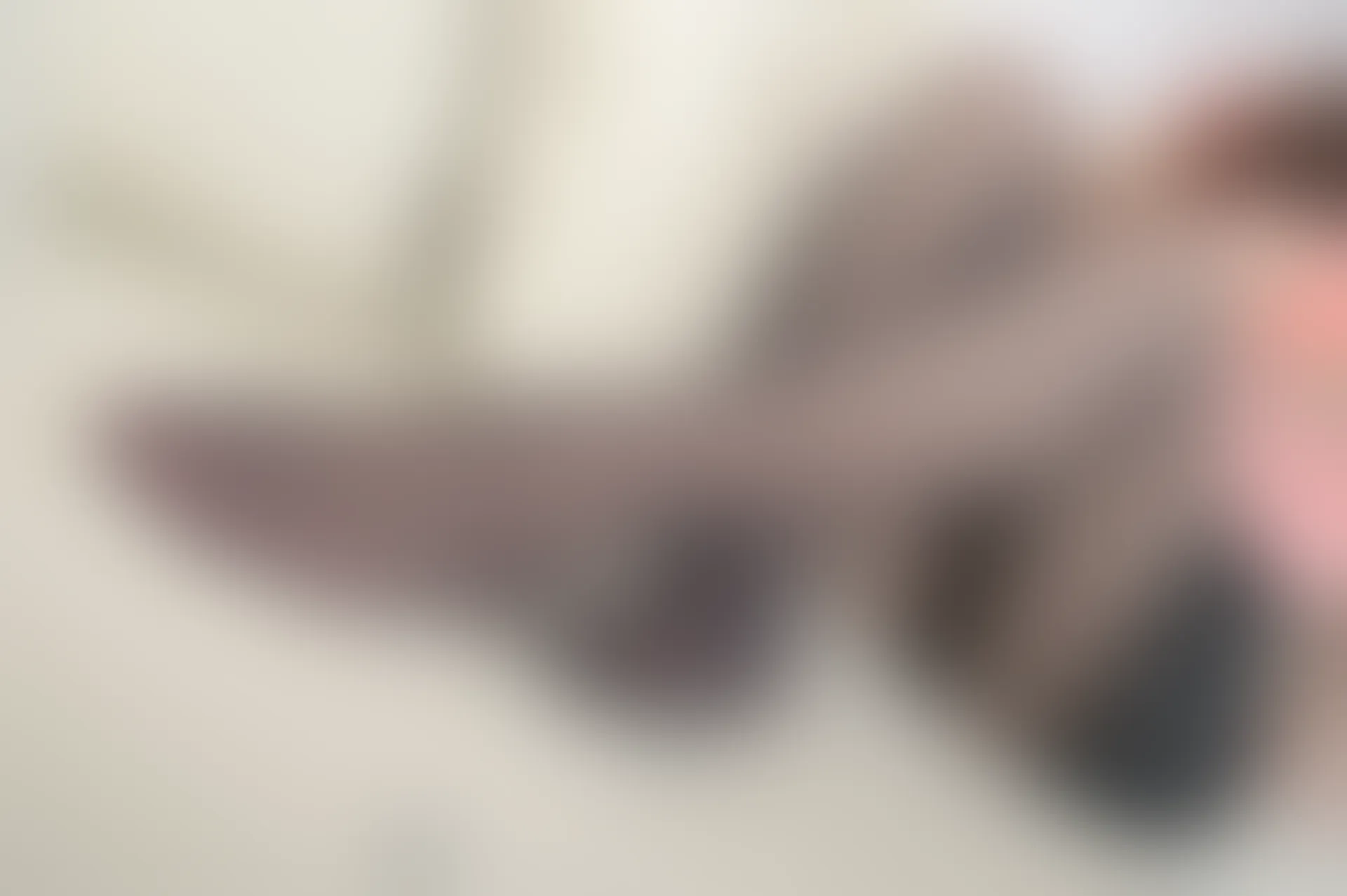 SSA丝社 超清写真 NO.185 莉莉 居家混搭风日常黑丝穿搭示范[121P-1.57GB]