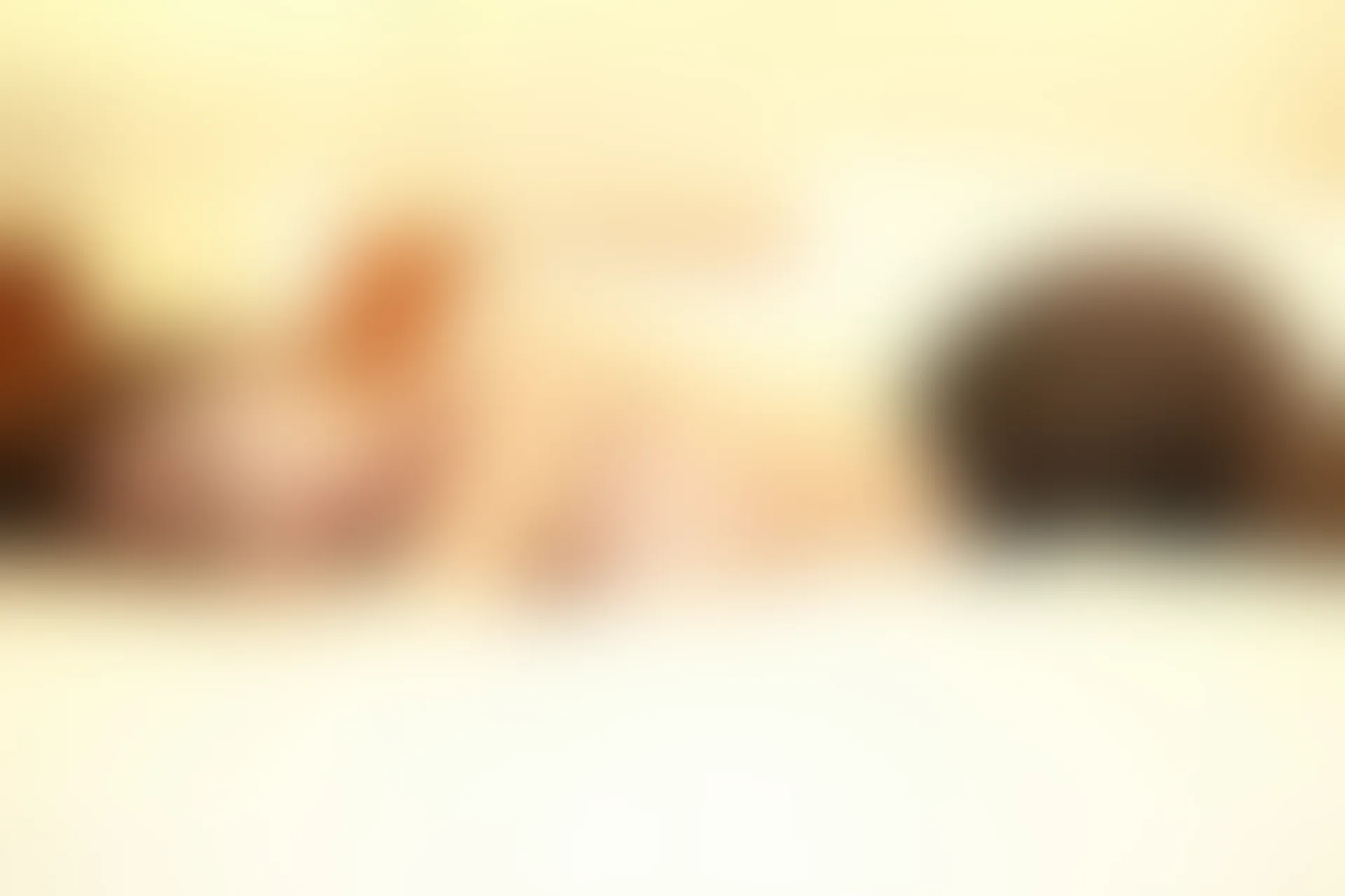 XiuRen秀人网 2016.03.24 No.499 李李七七喜喜 [63+1P-285M]