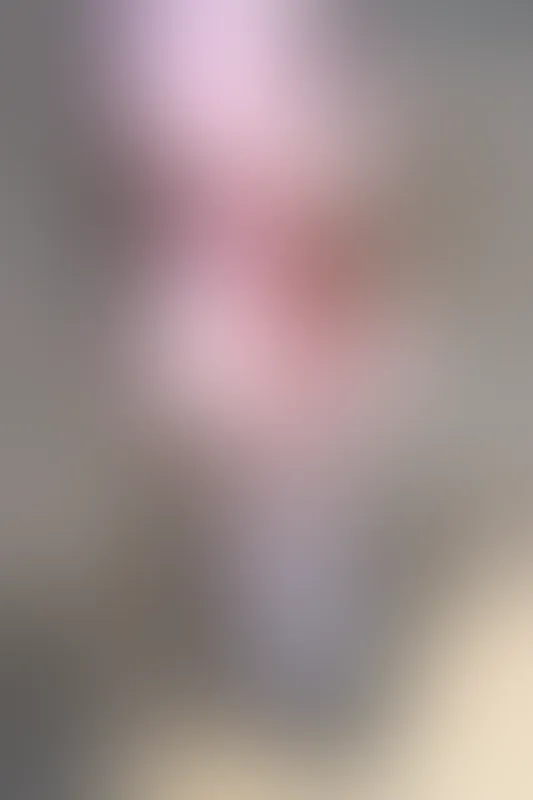 森萝财团 X-026 [113P1V-1.78G]可爱, 森萝财团, 白丝, 美腿, 美足