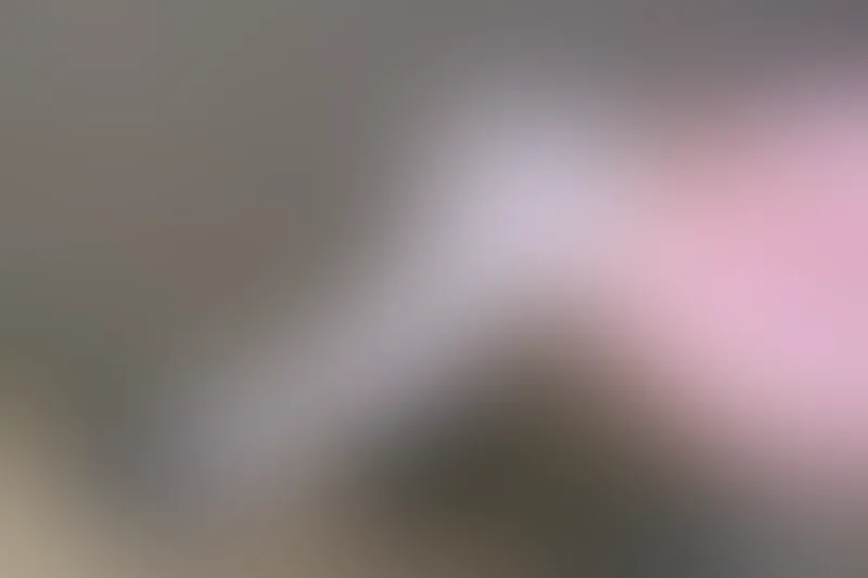 森萝财团 X-026 [113P1V-1.78G]可爱, 森萝财团, 白丝, 美腿, 美足